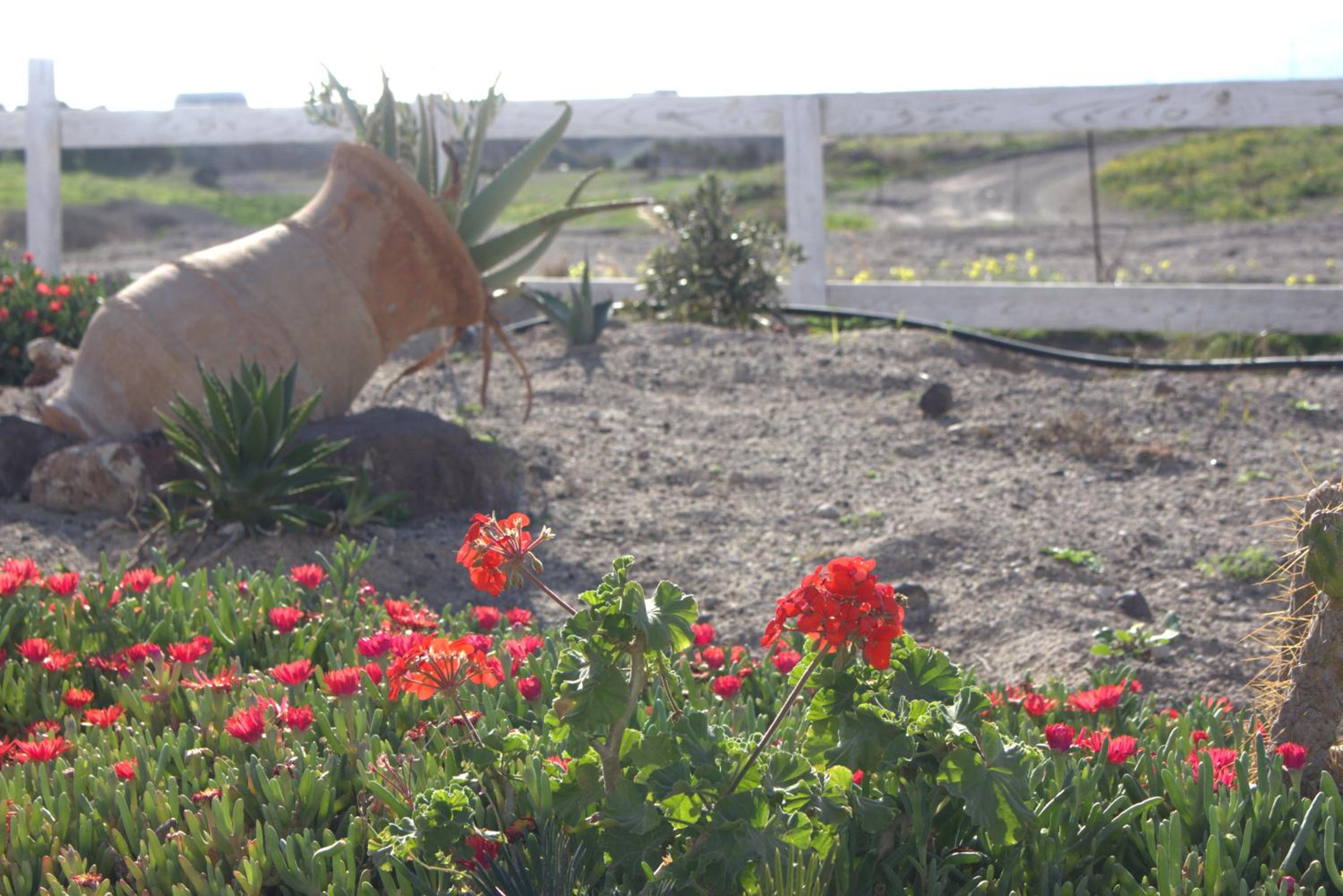 Photo 43