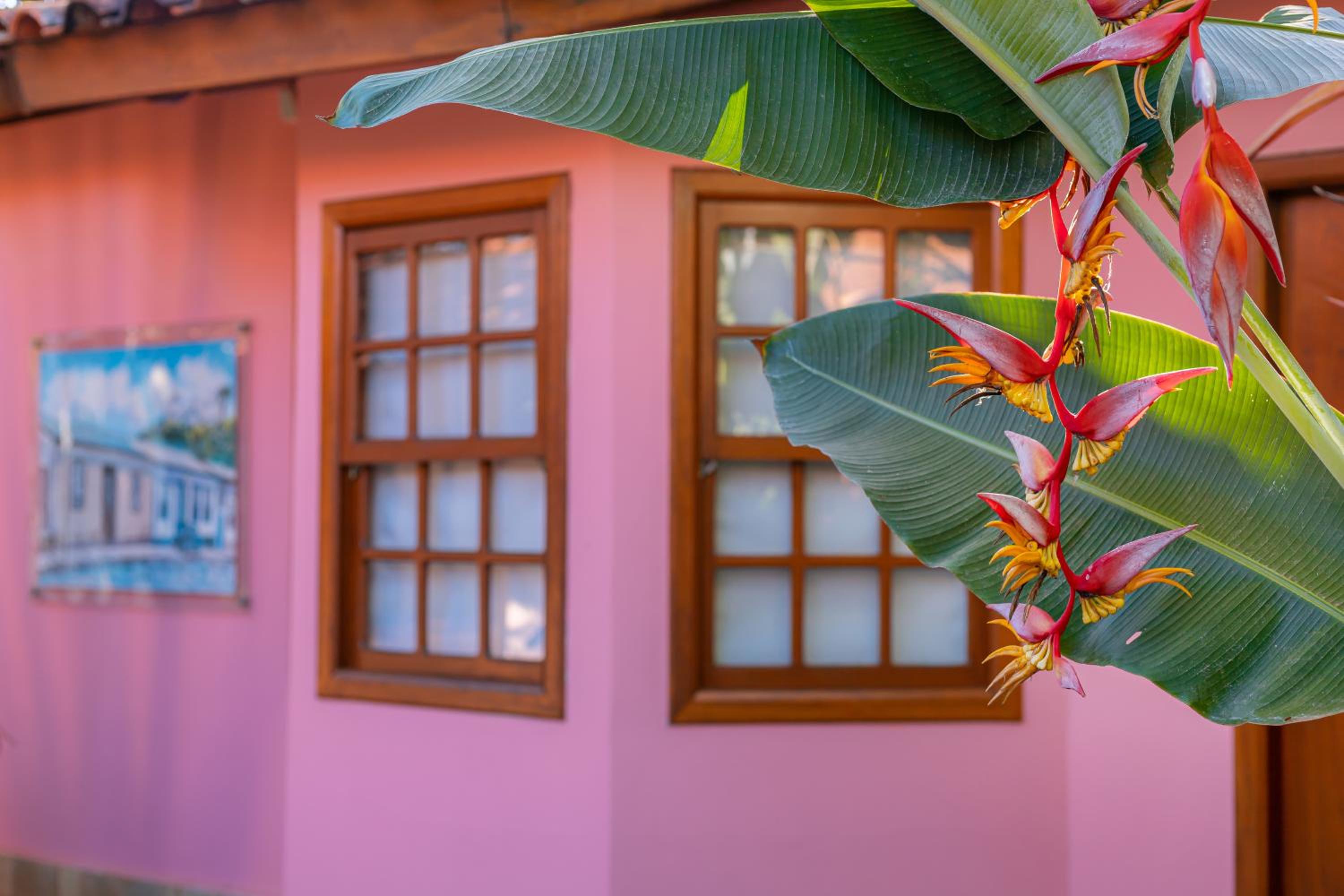 Pouso, Café e Cultura