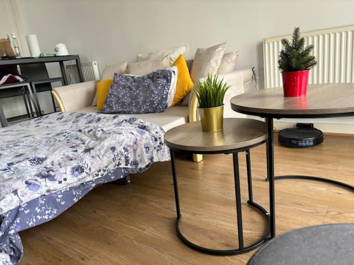 Cosy stay near Greenwich park