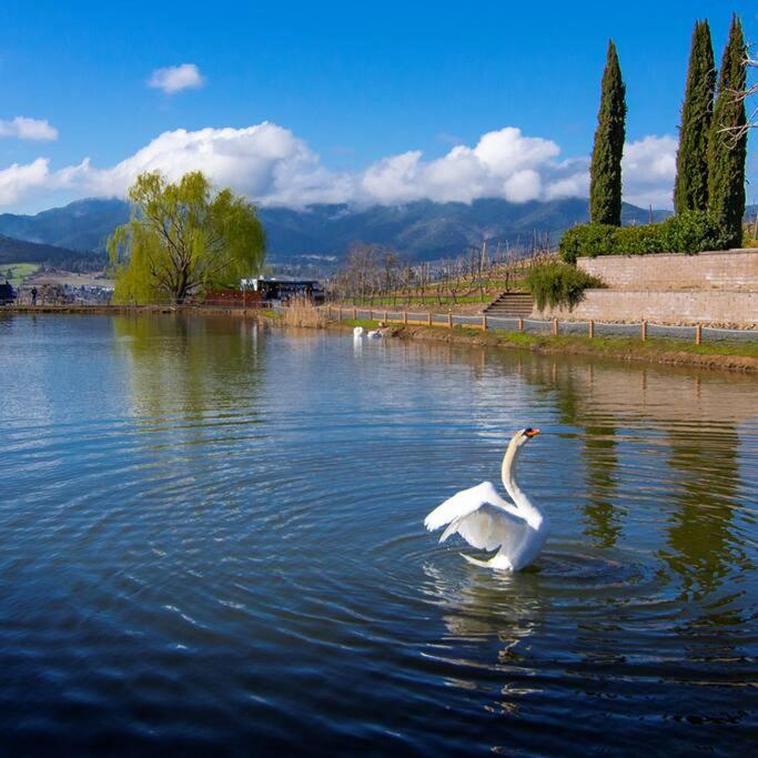 Paschal Winery - Water's Edge - Property Image 2