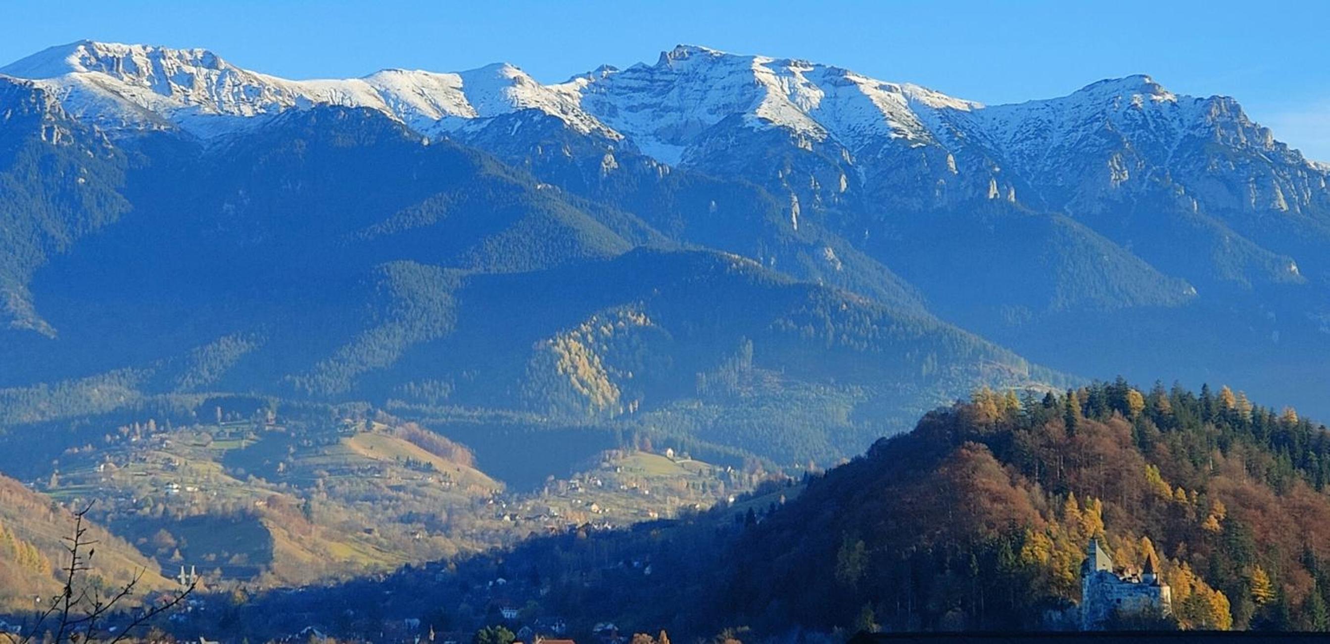 Casa Ciubărului Bran