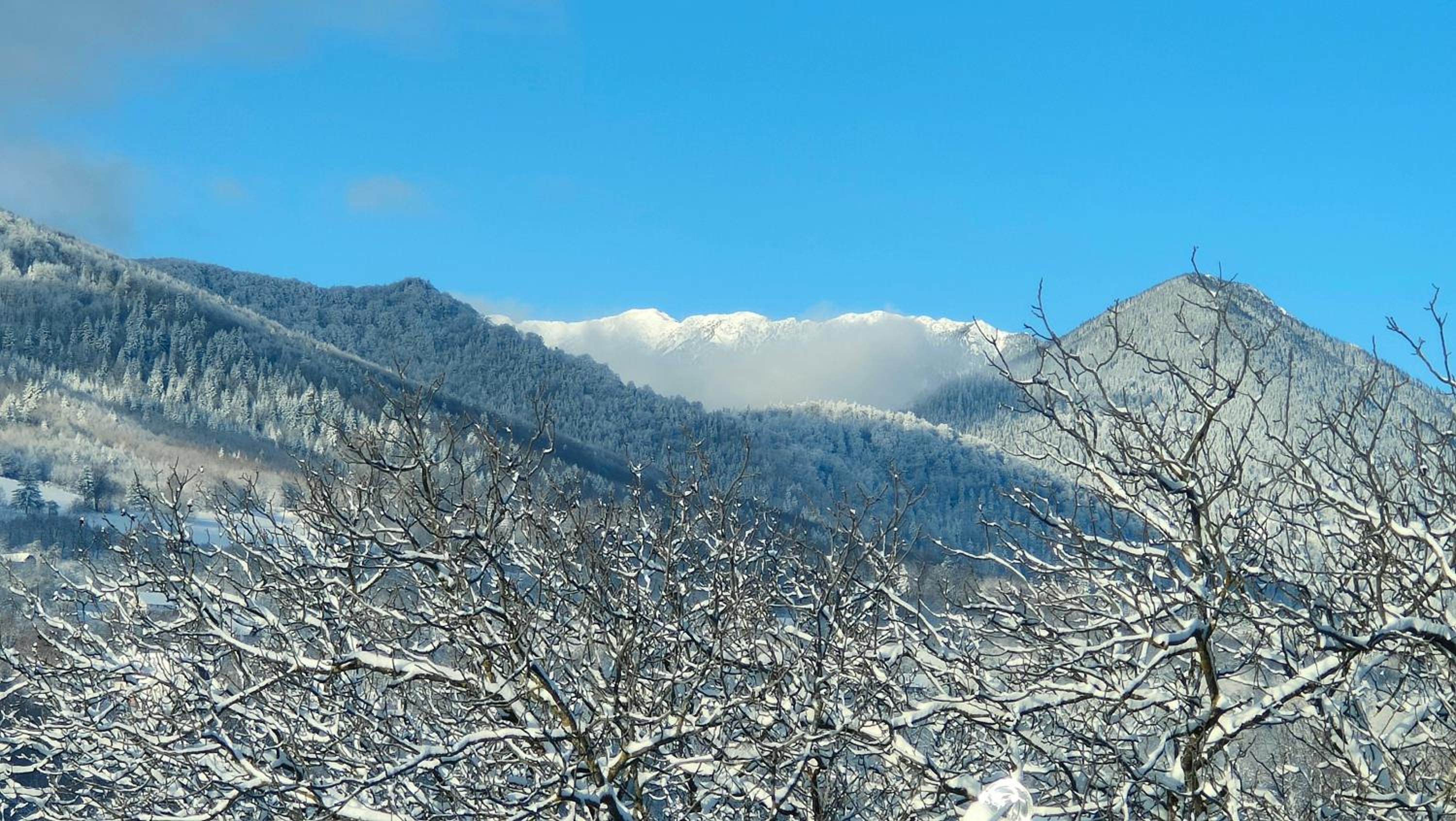 Casa Ciubărului Bran