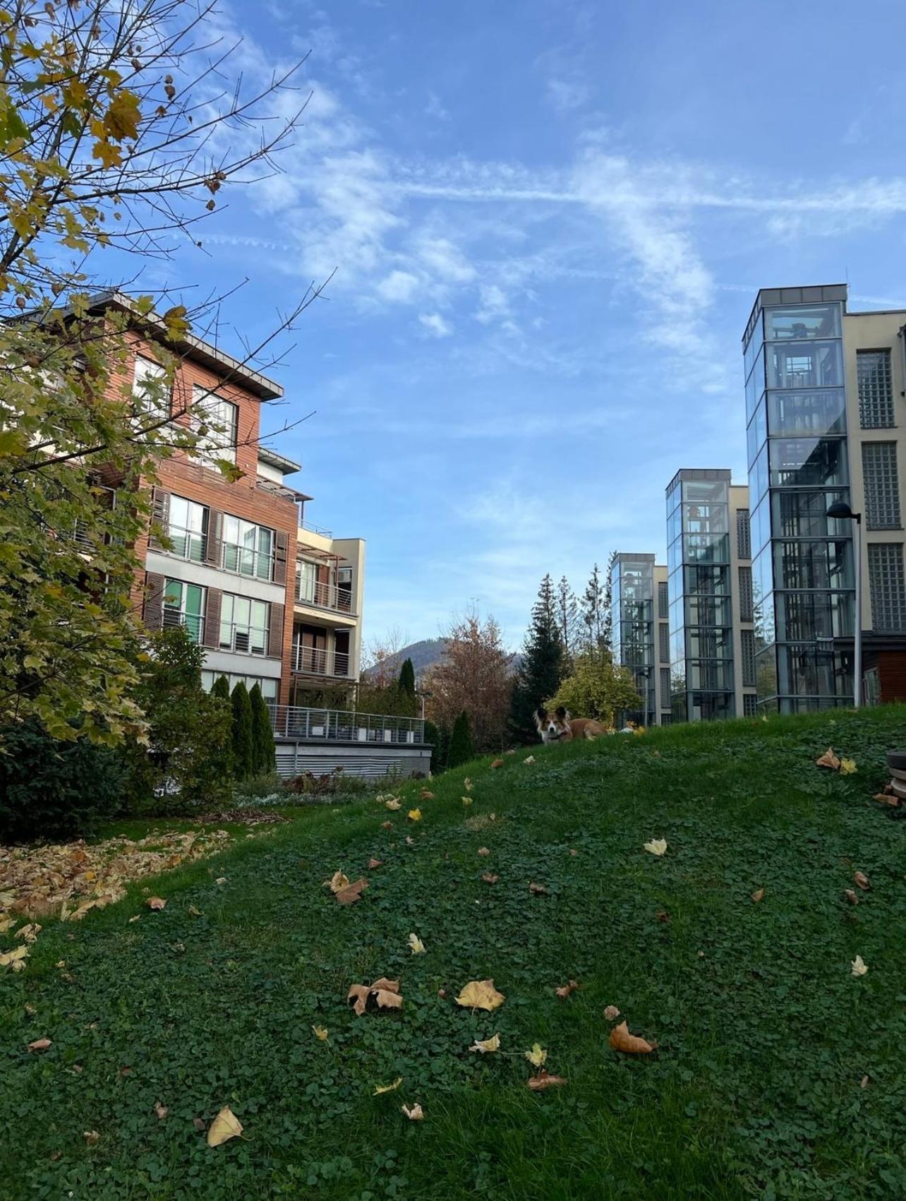 USTRONNE ZACISZE - Ustroń Zdrój Zeta Park, photo 28