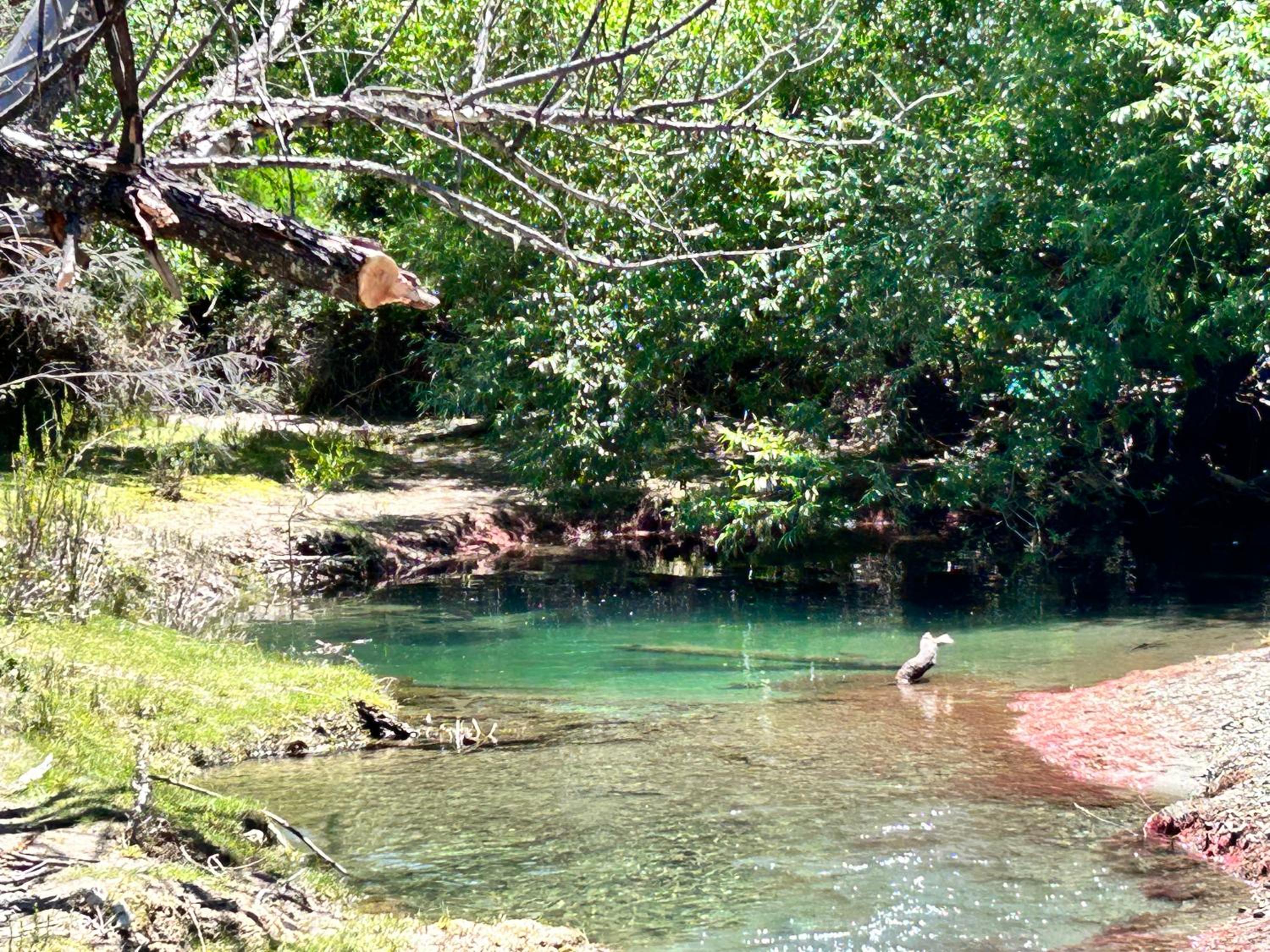Rio Manso cabaña km 18