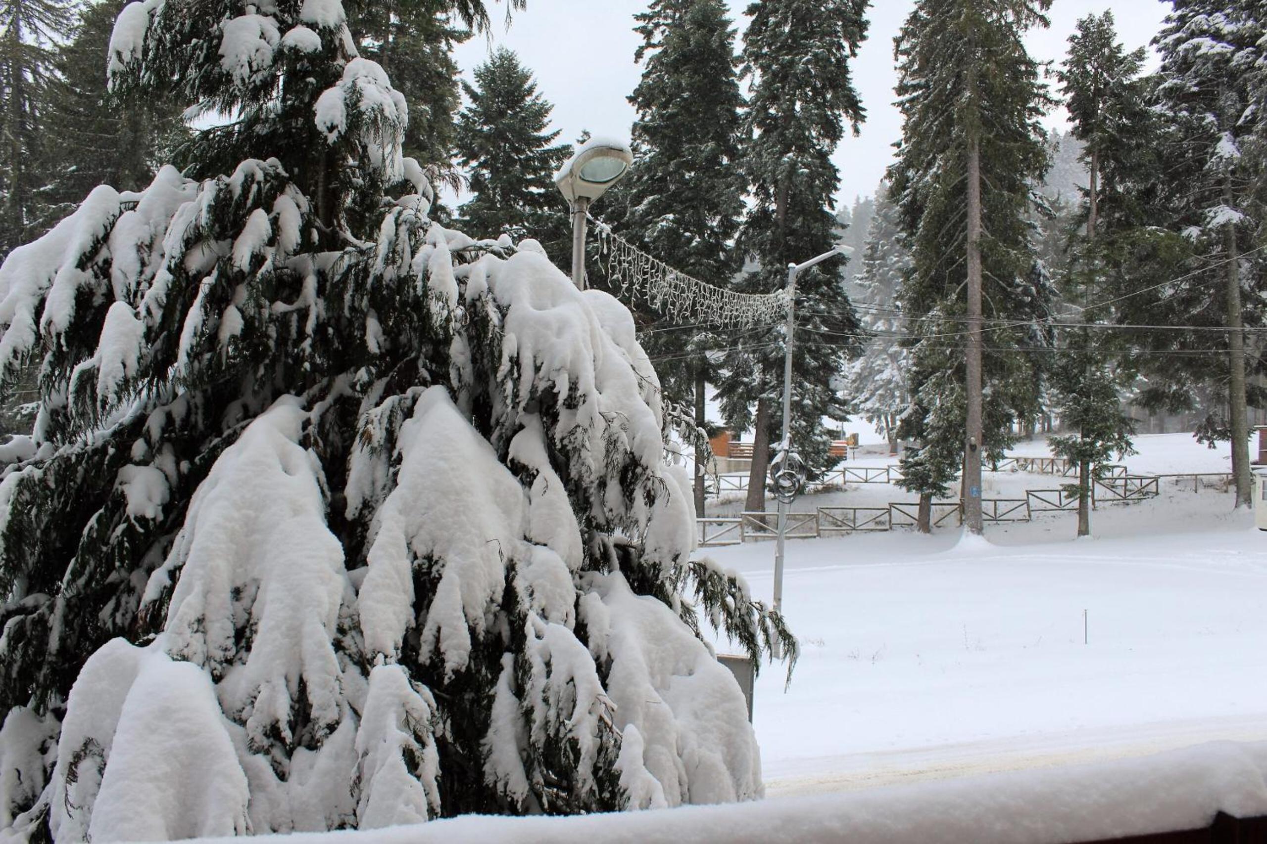 Fully Equipped Studio 50m from the slopes - Borovets, Flora Residence, Tulip 06