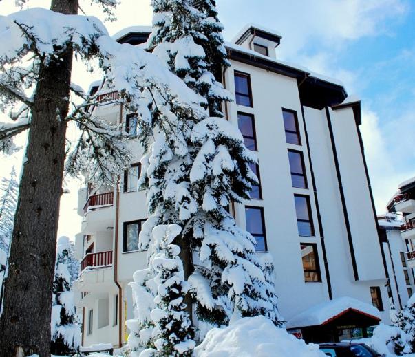 Fully Equipped Studio 50m from the slopes - Borovets, Flora Residence, Tulip 06