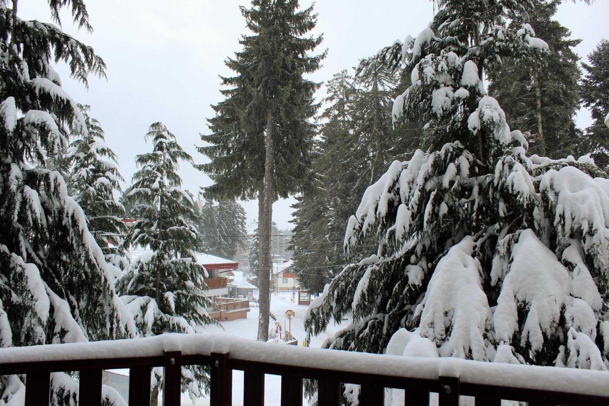 Fully Equipped Studio 50m from the slopes - Borovets, Flora Residence, Tulip 06