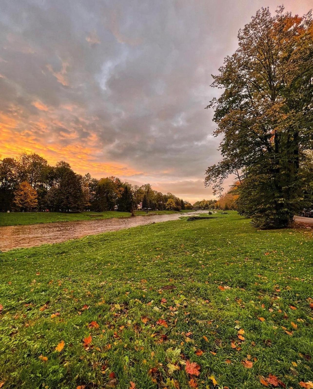 USTRONNE ZACISZE - Ustroń Zdrój Zeta Park, photo 16