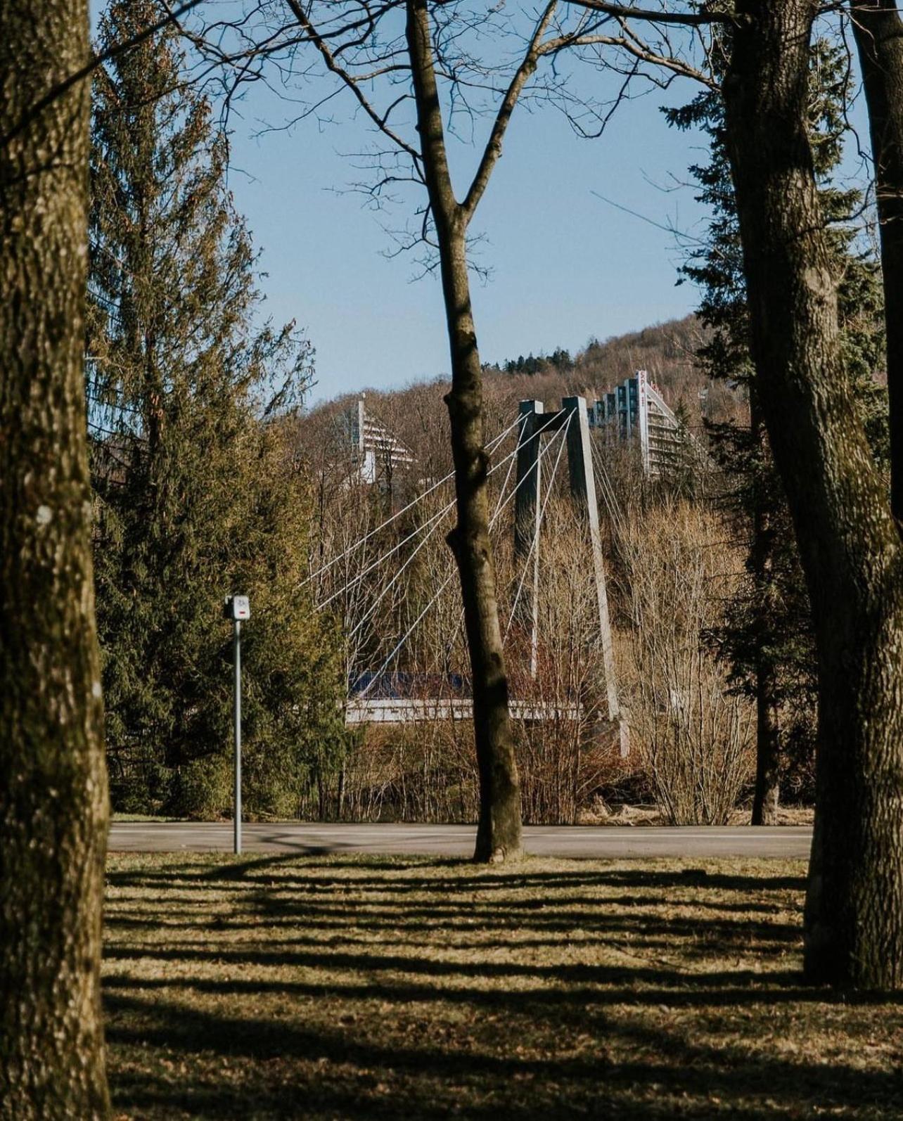 USTRONNE ZACISZE - Ustroń Zdrój Zeta Park, photo 25