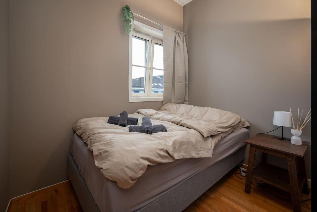 Studio apt in city centre view 3