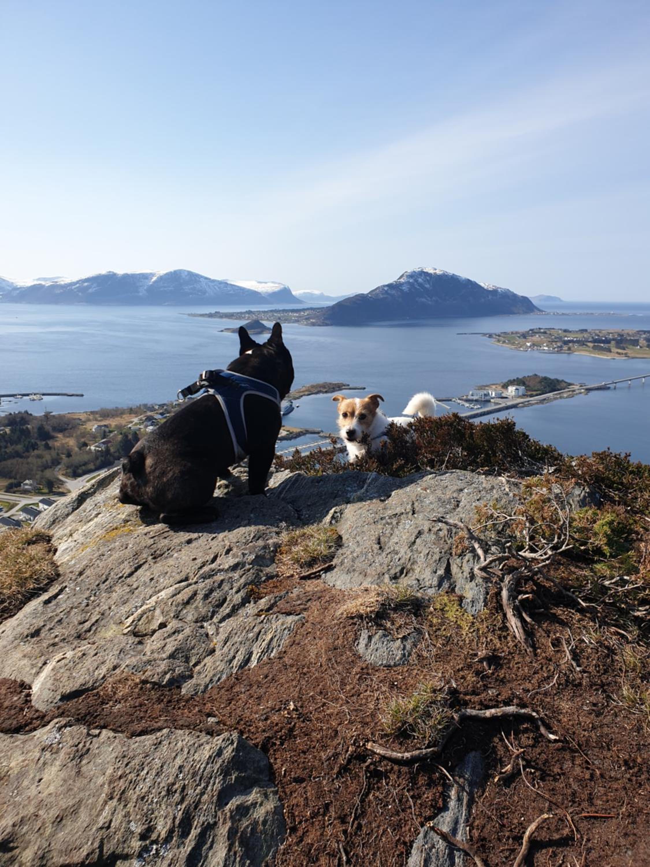 Leilighet nær flyplass og Ålesund sentrum view 5