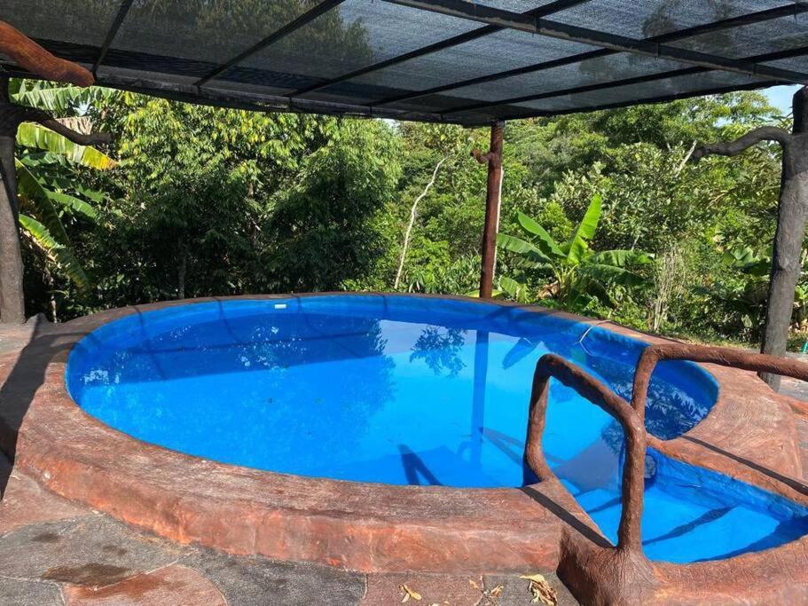 Finca las palmas