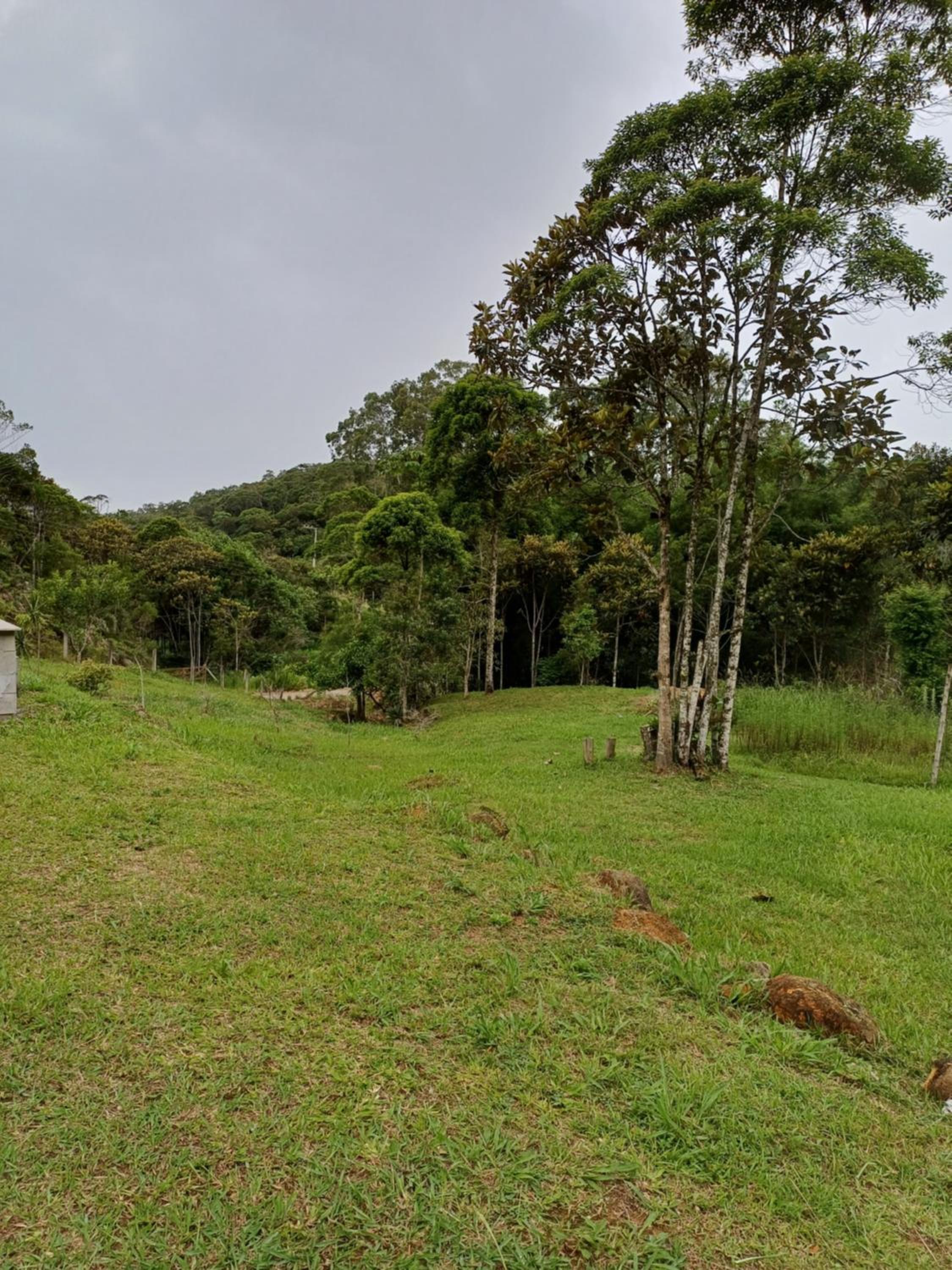 Sitio São Francisco de Assis