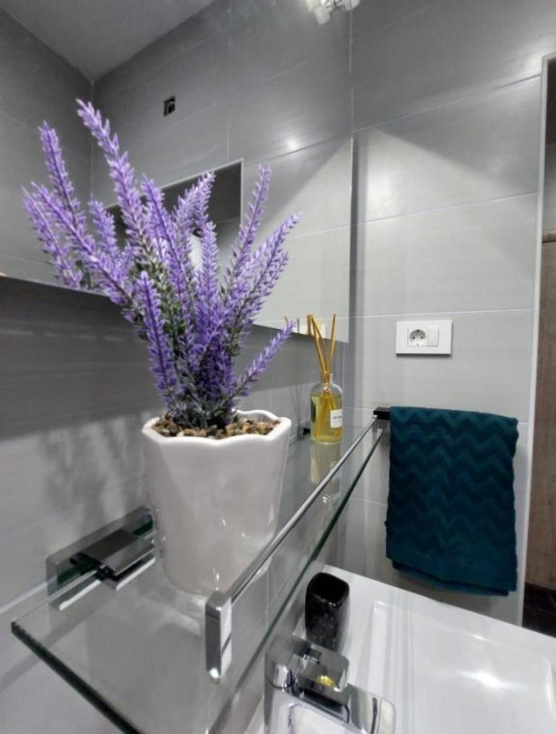 Apartman Žuki