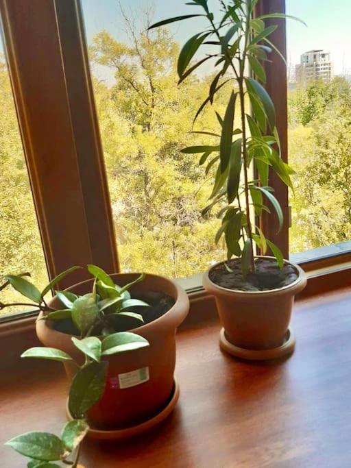 Lovely 3 room apartment in a quiet district