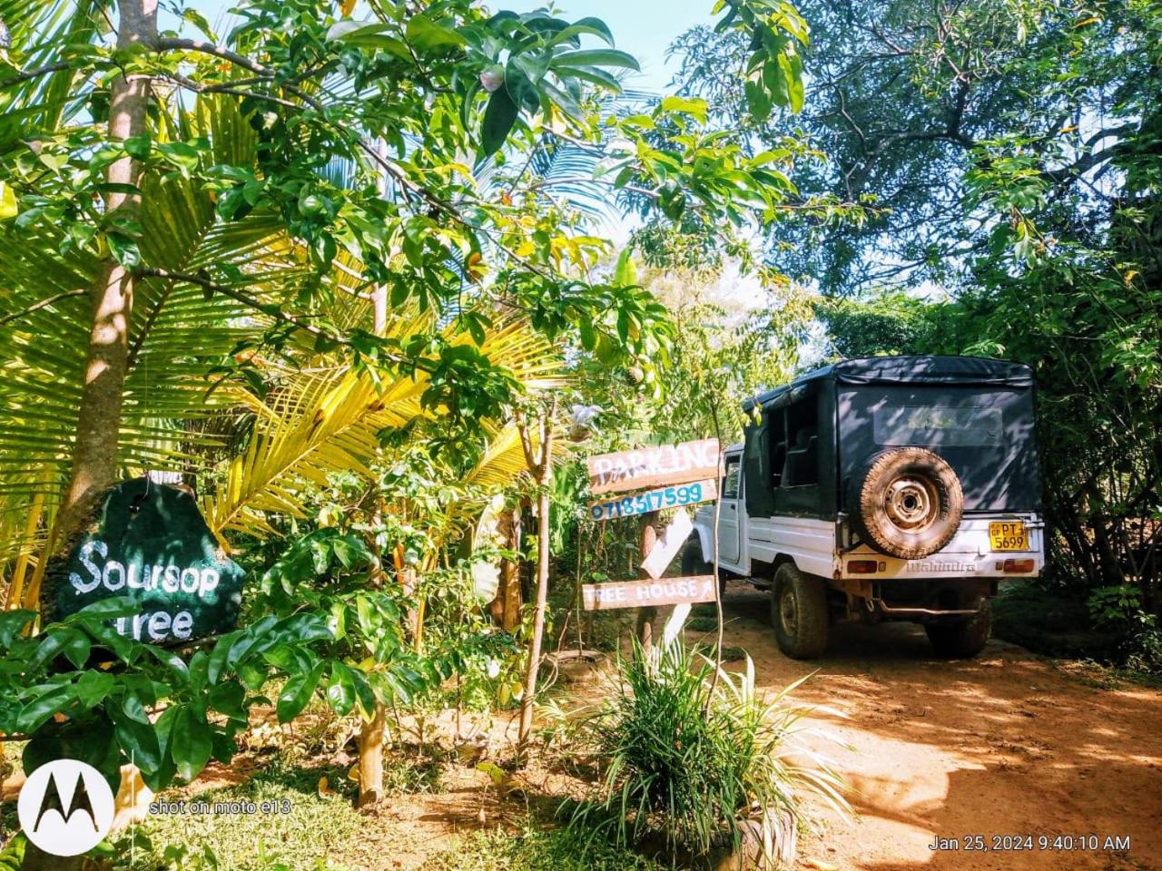 Photo 37