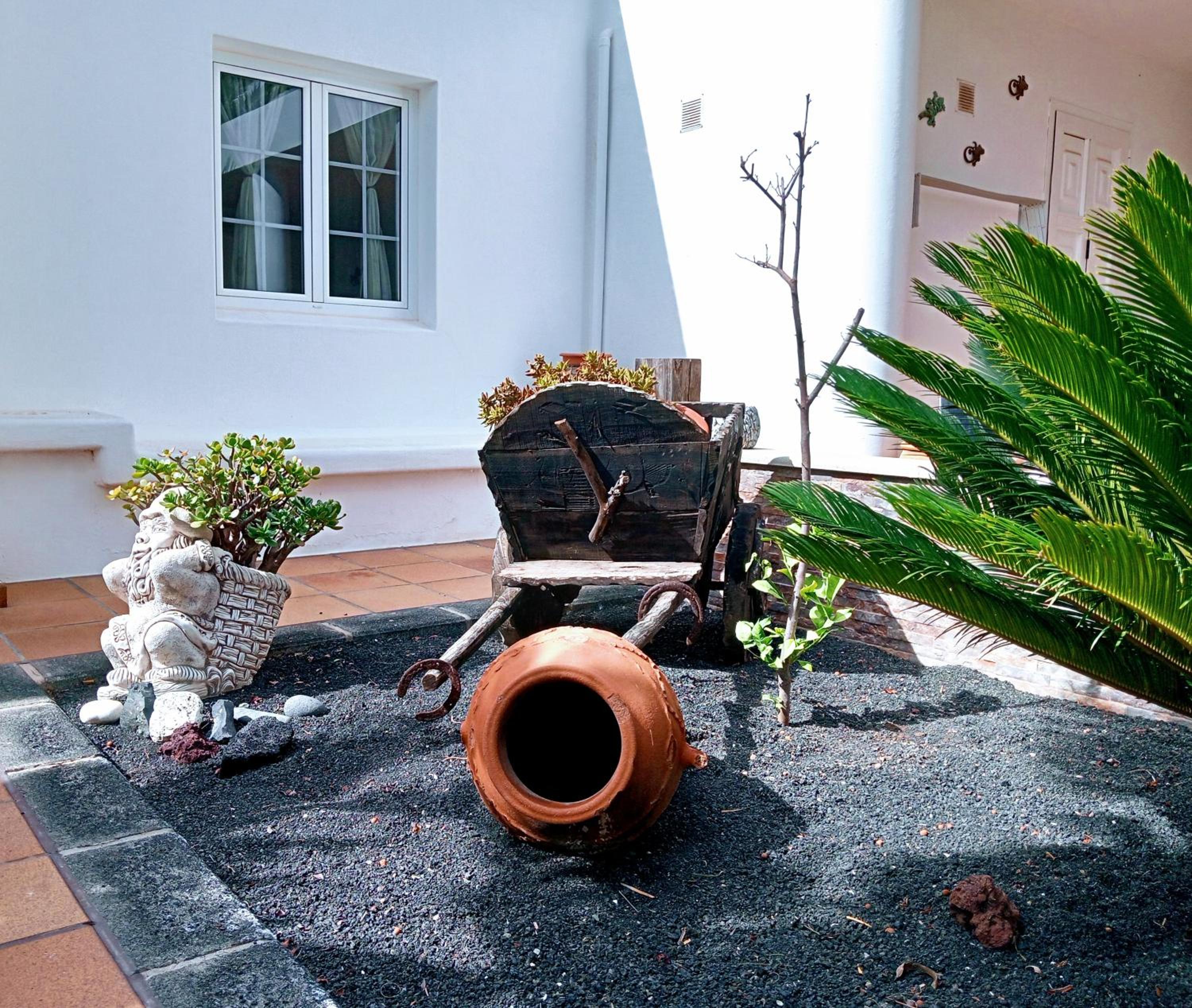 Casa Strelitzia