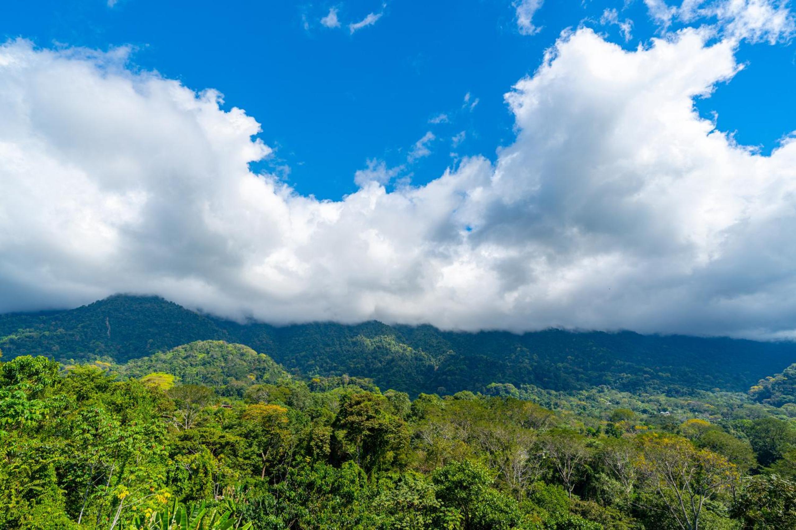 Villa Roca Ocean to Mountain Views - by Pura Villas