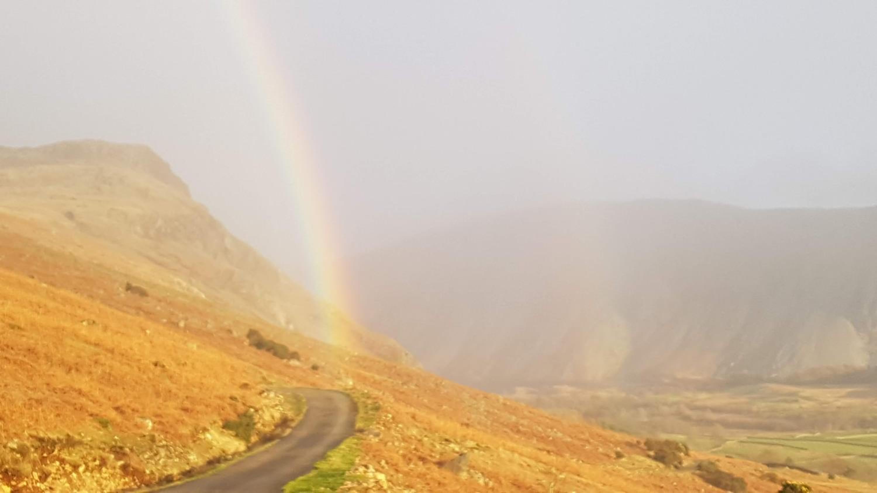 Photo 50