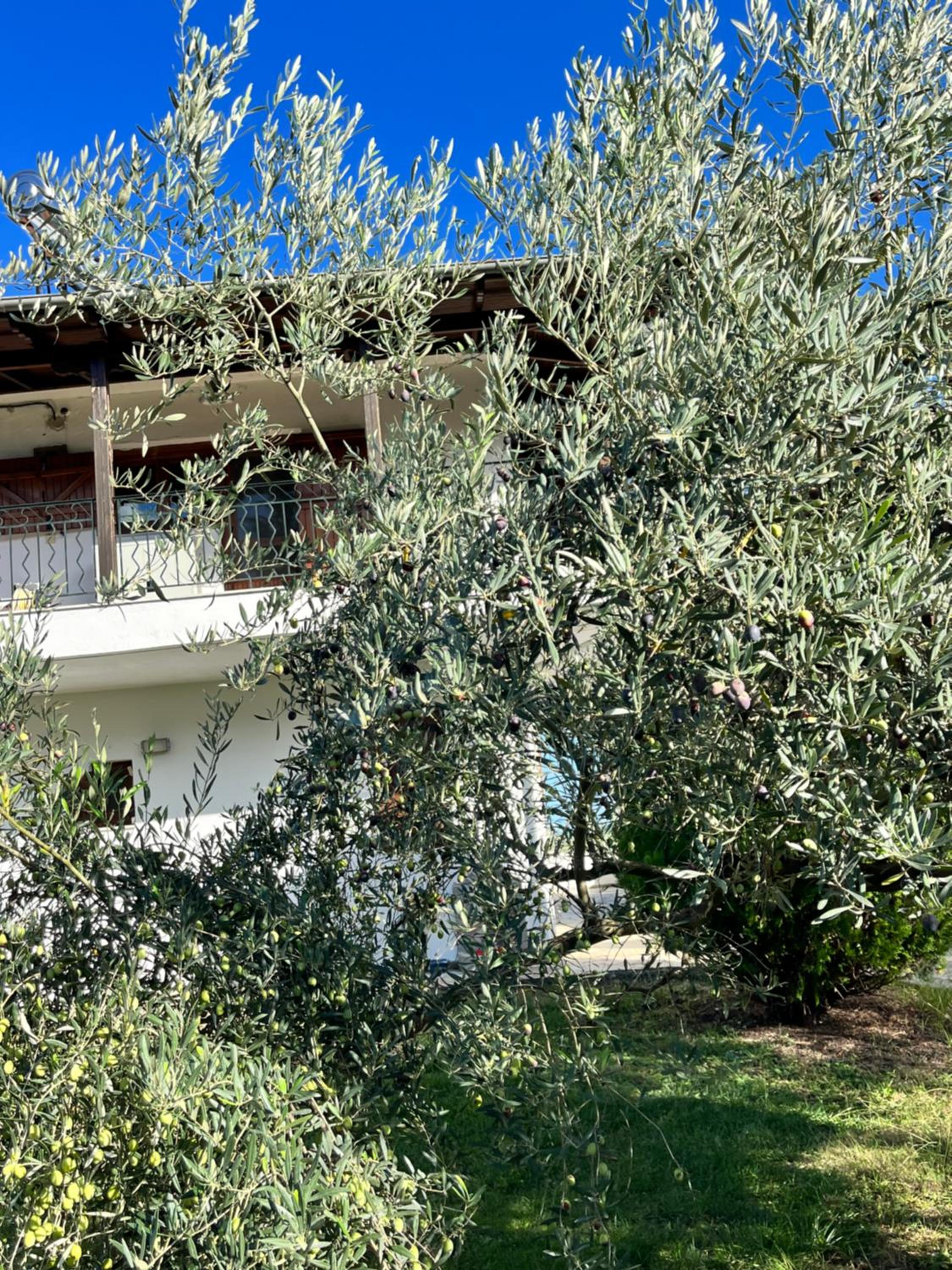 MaVitaPlace Olympus Olive House-Upper floor Leptokarya