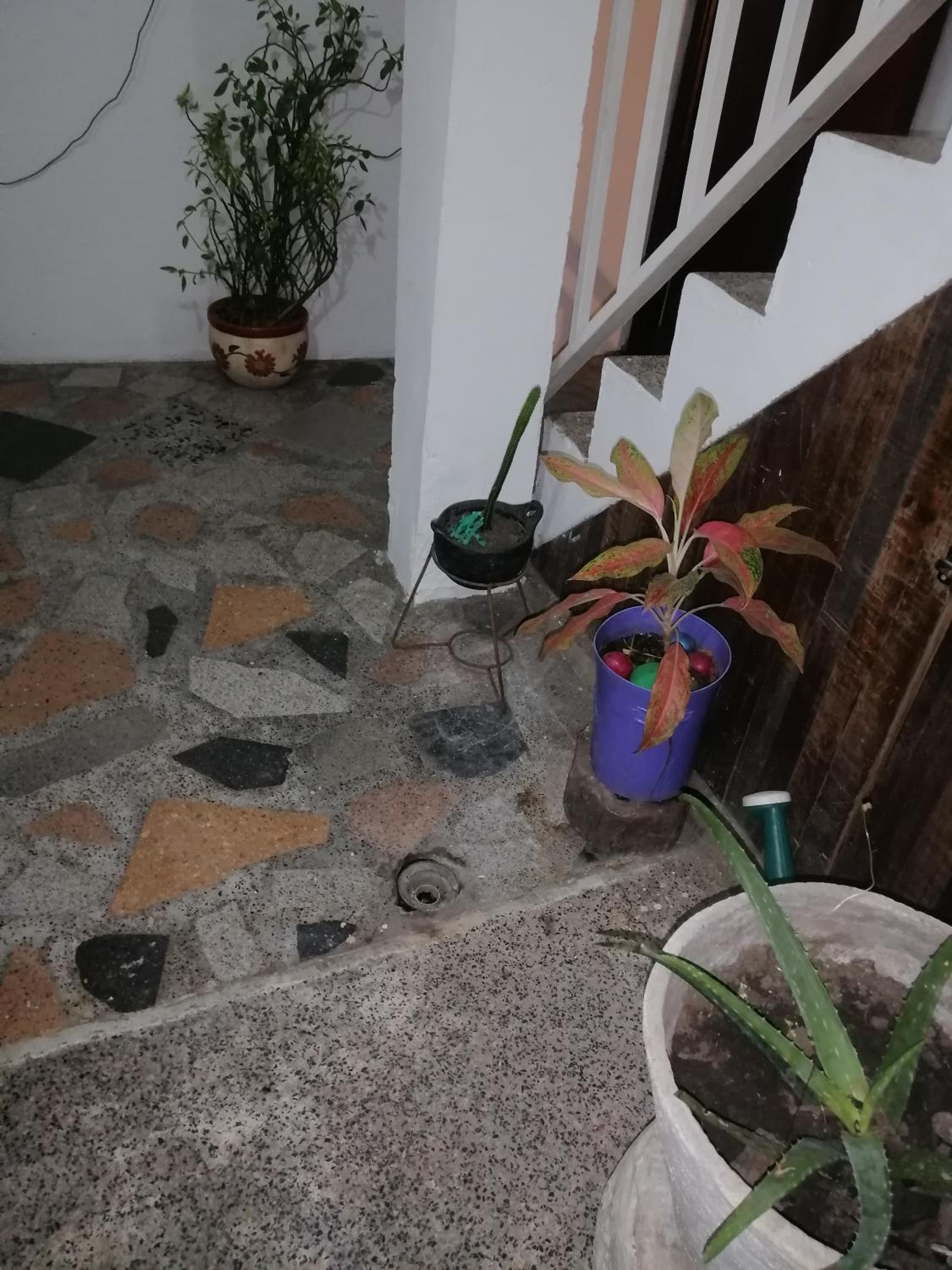Casa low cost