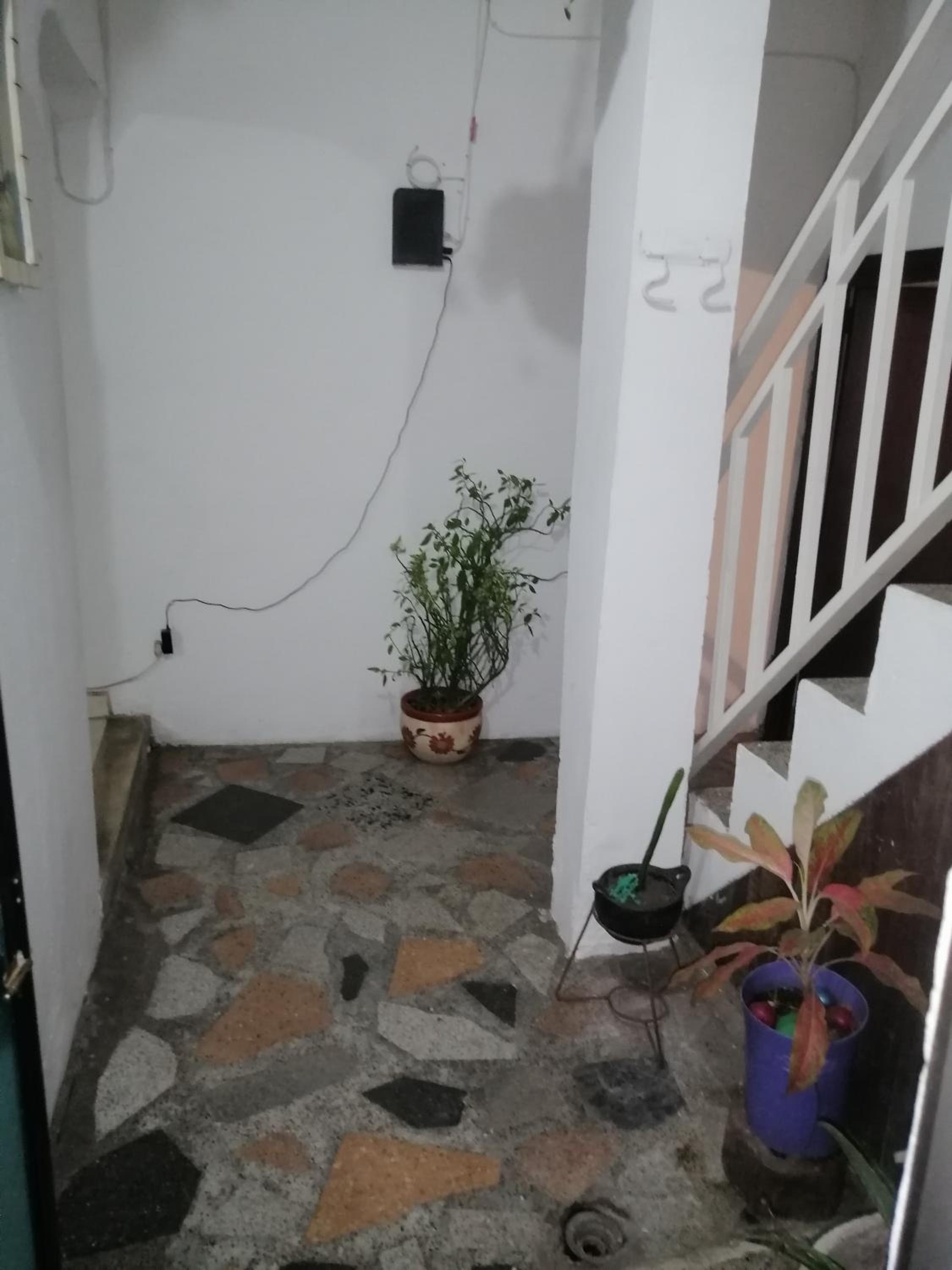 Casa low cost