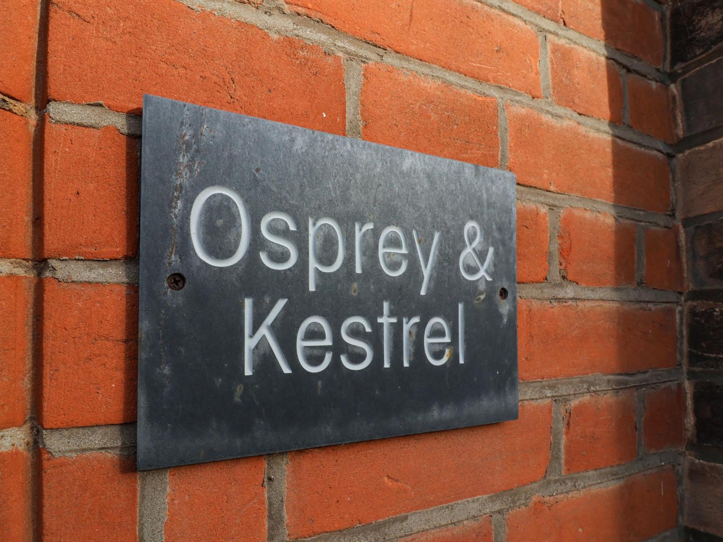 Kestrel view 2