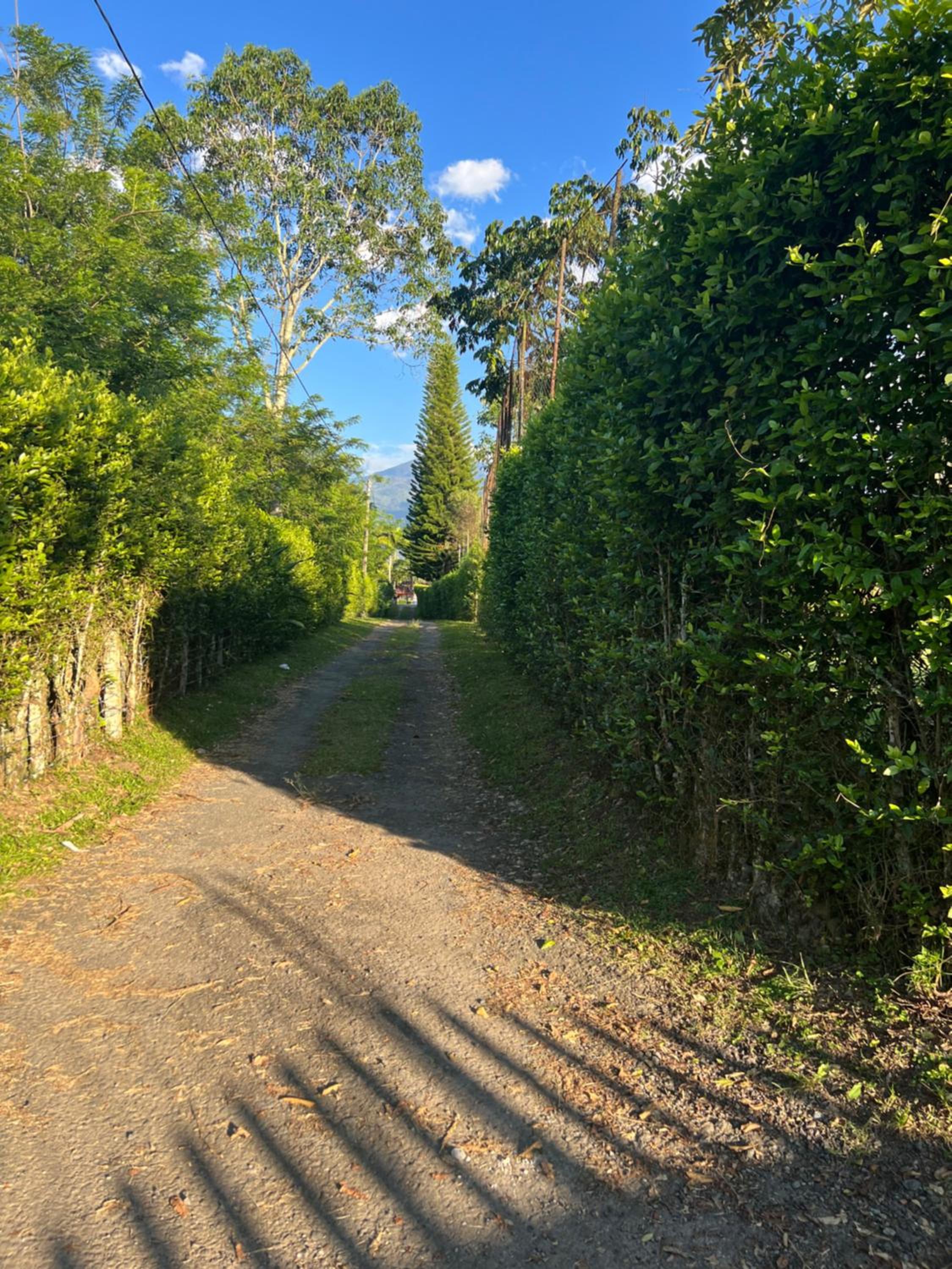 Finca Villa Antonella
