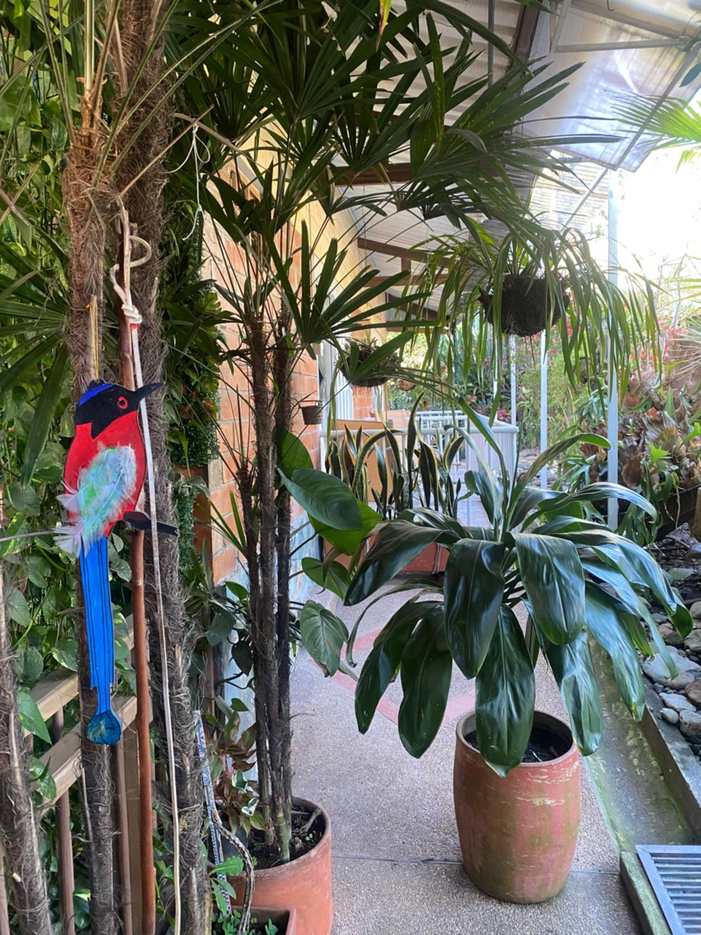 Finca Villa Antonella