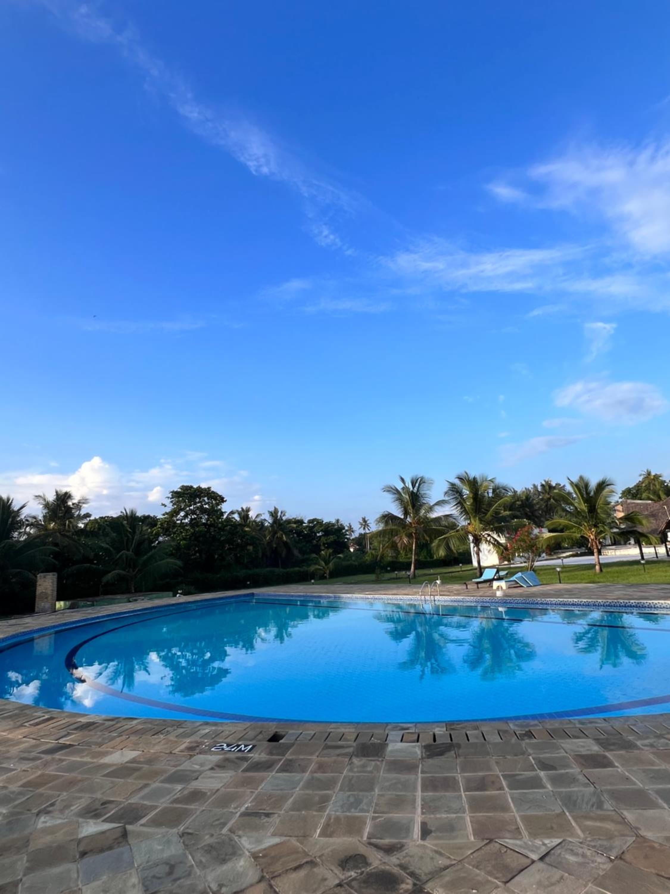 Sunny Studio Beachfront Apartment view 2