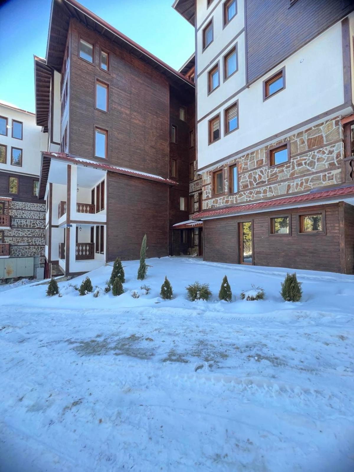 Avelov Art Studio