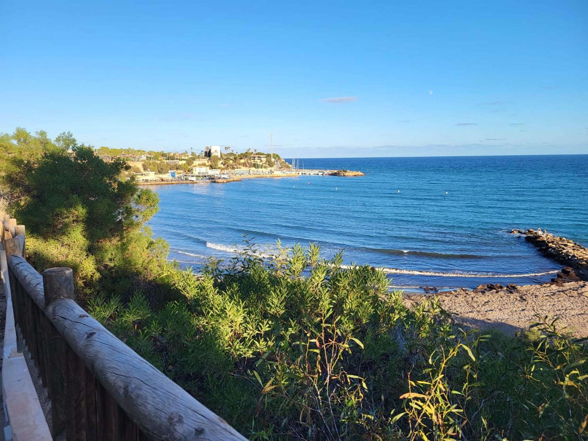 One Palm Tree, Orihuela Costa view 5