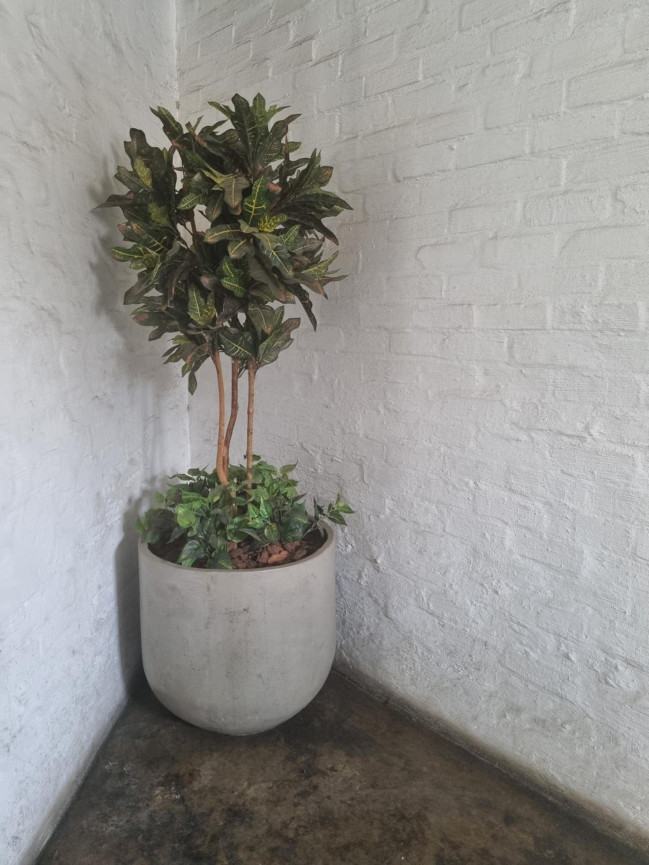Dimpho House in Vibey Maboneng Precinct