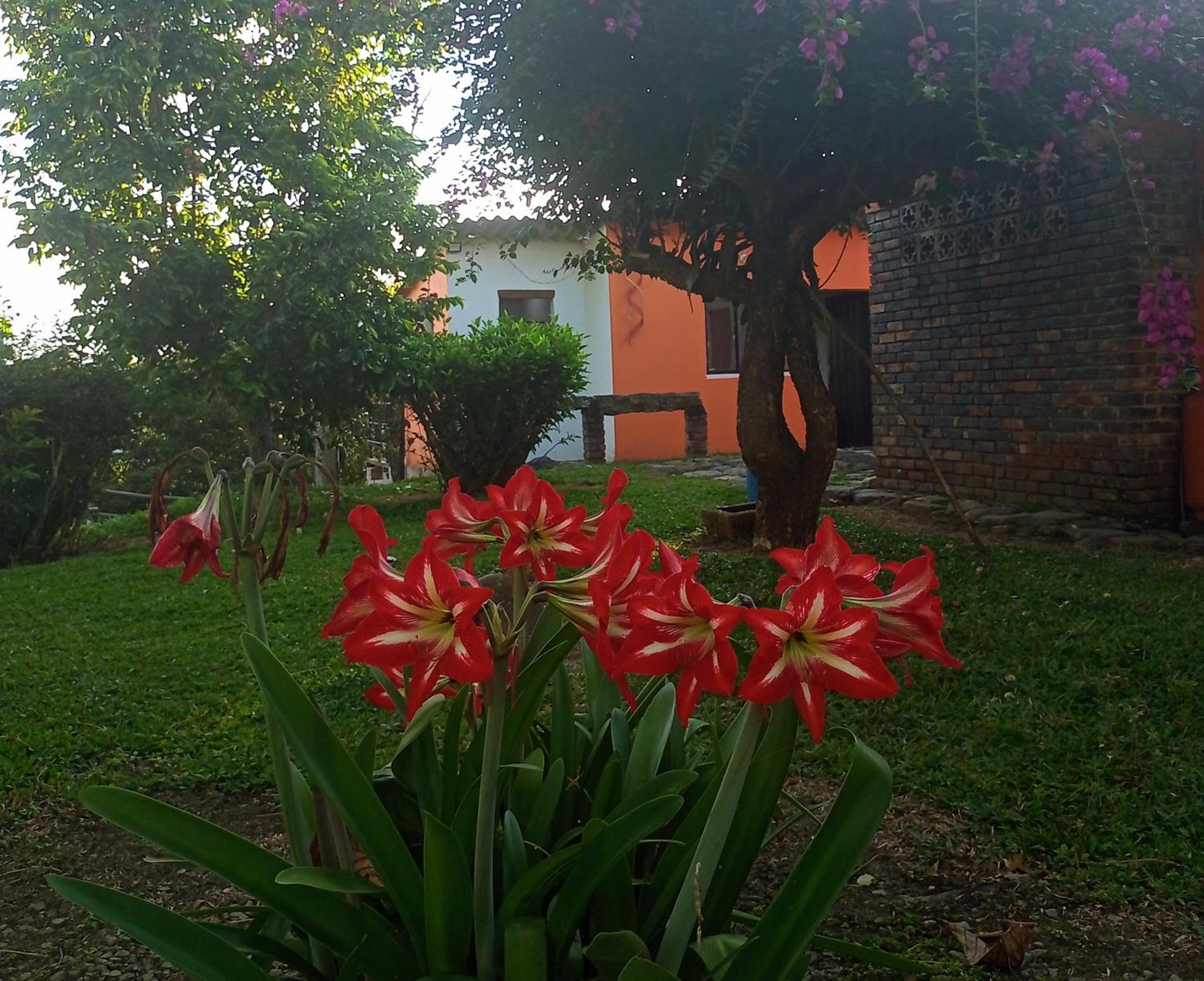 Eco-Cabanas Altozano Nimaima - Property Image 21