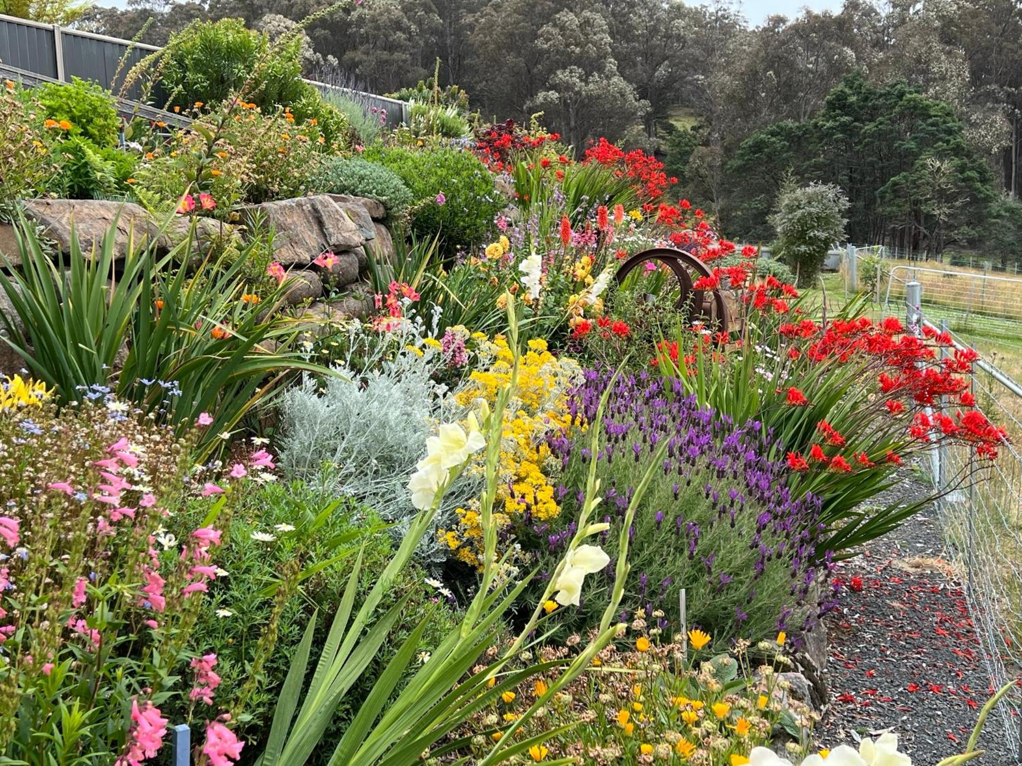 Amaroo with a view set on a 50 Acre Hobby Farm - Property Image 38
