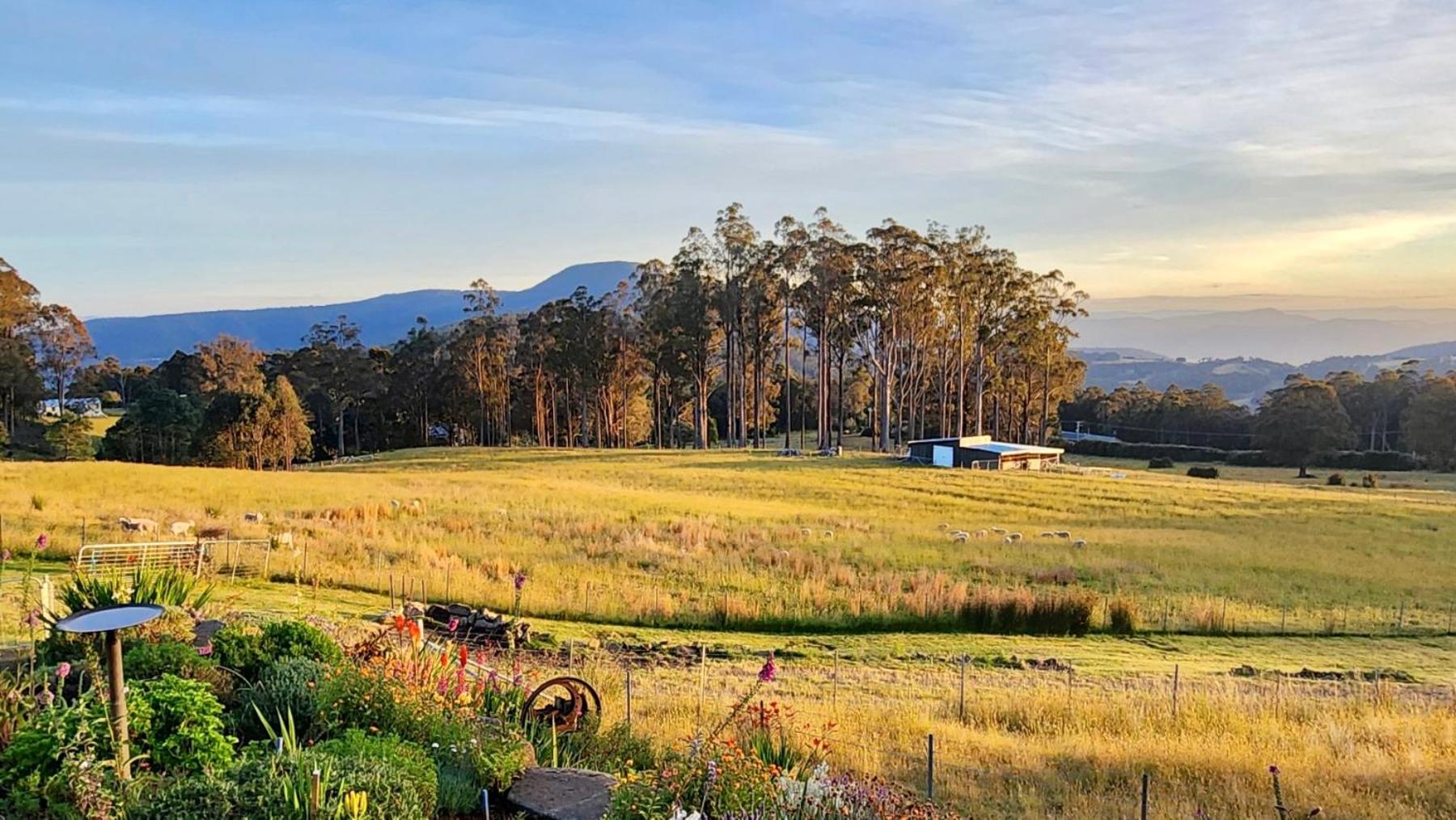 Amaroo with a view set on a 50 Acre Hobby Farm - Property Image 39