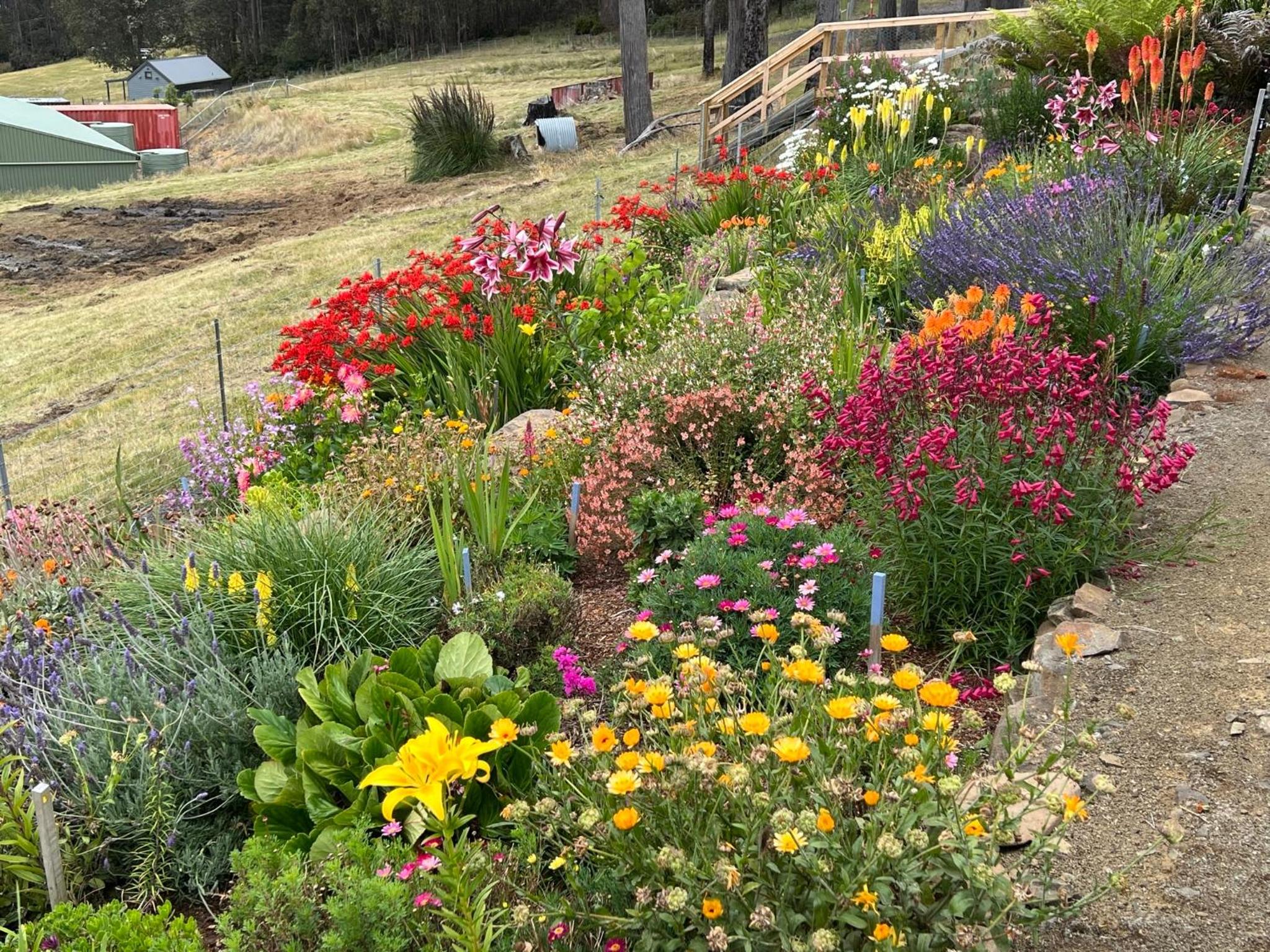 Amaroo with a view set on a 50 Acre Hobby Farm - Property Image 37