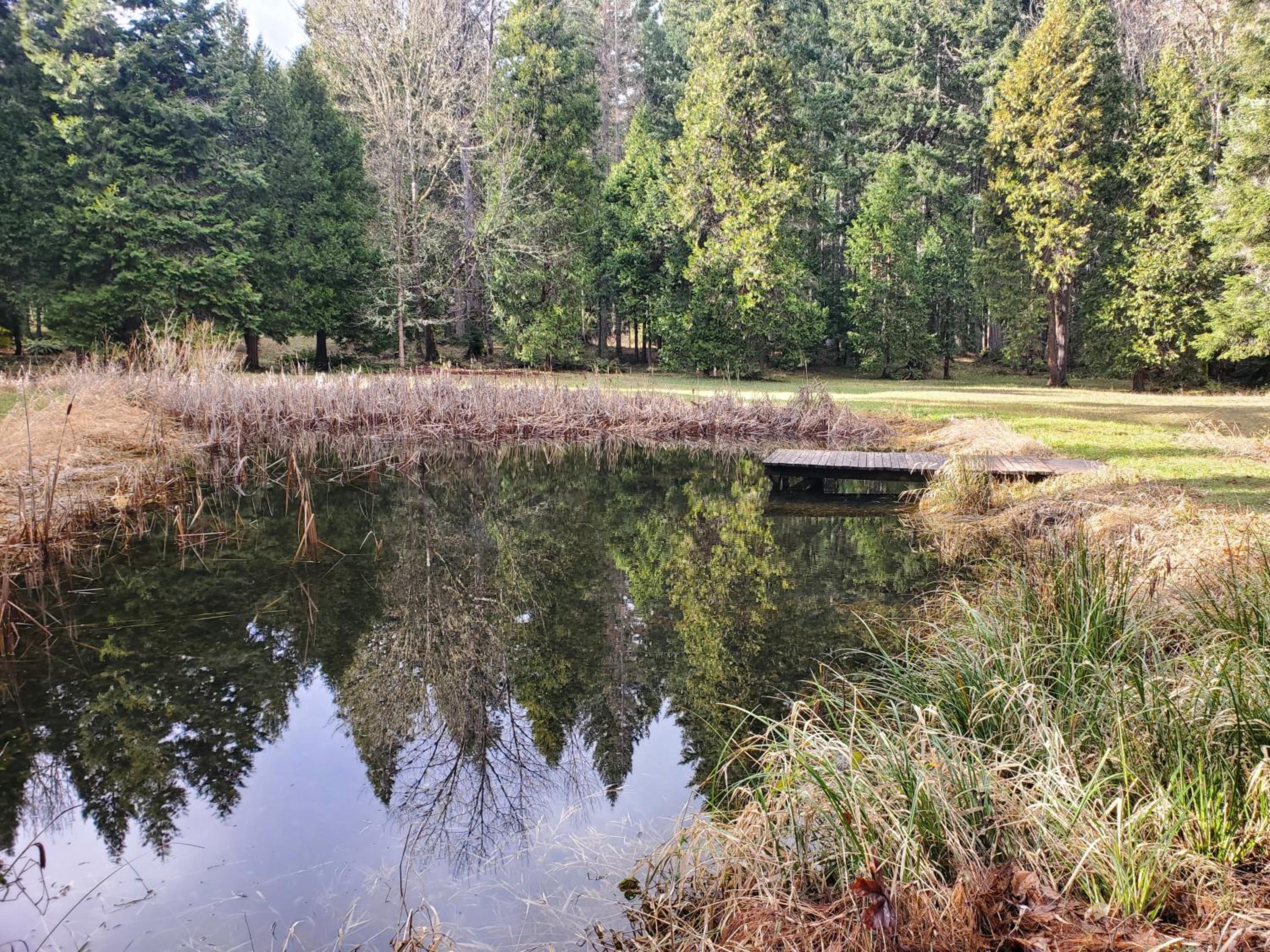 Blissful Solitude Cottage