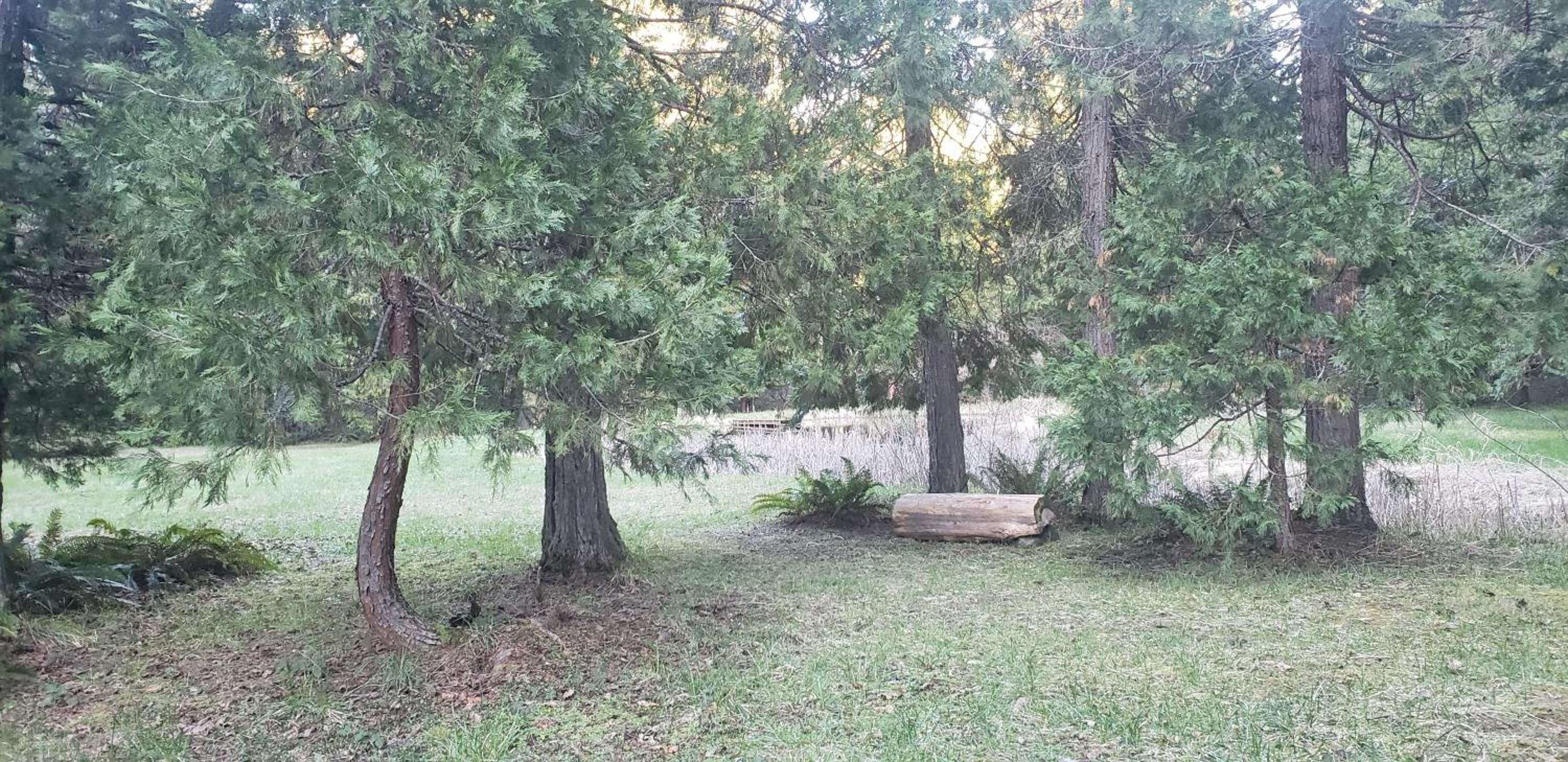 Blissful Solitude Cottage