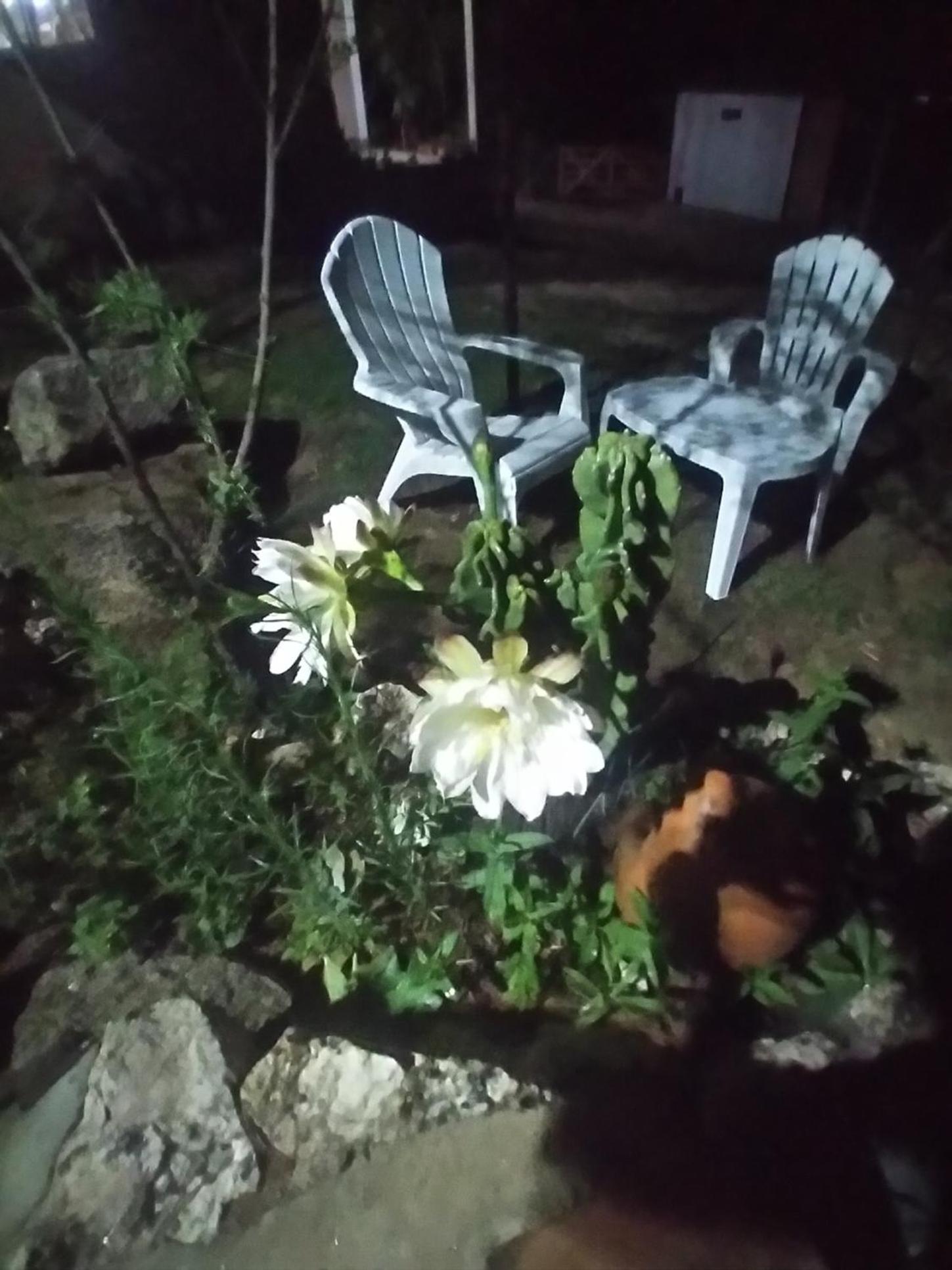 Un lugar en el mundo