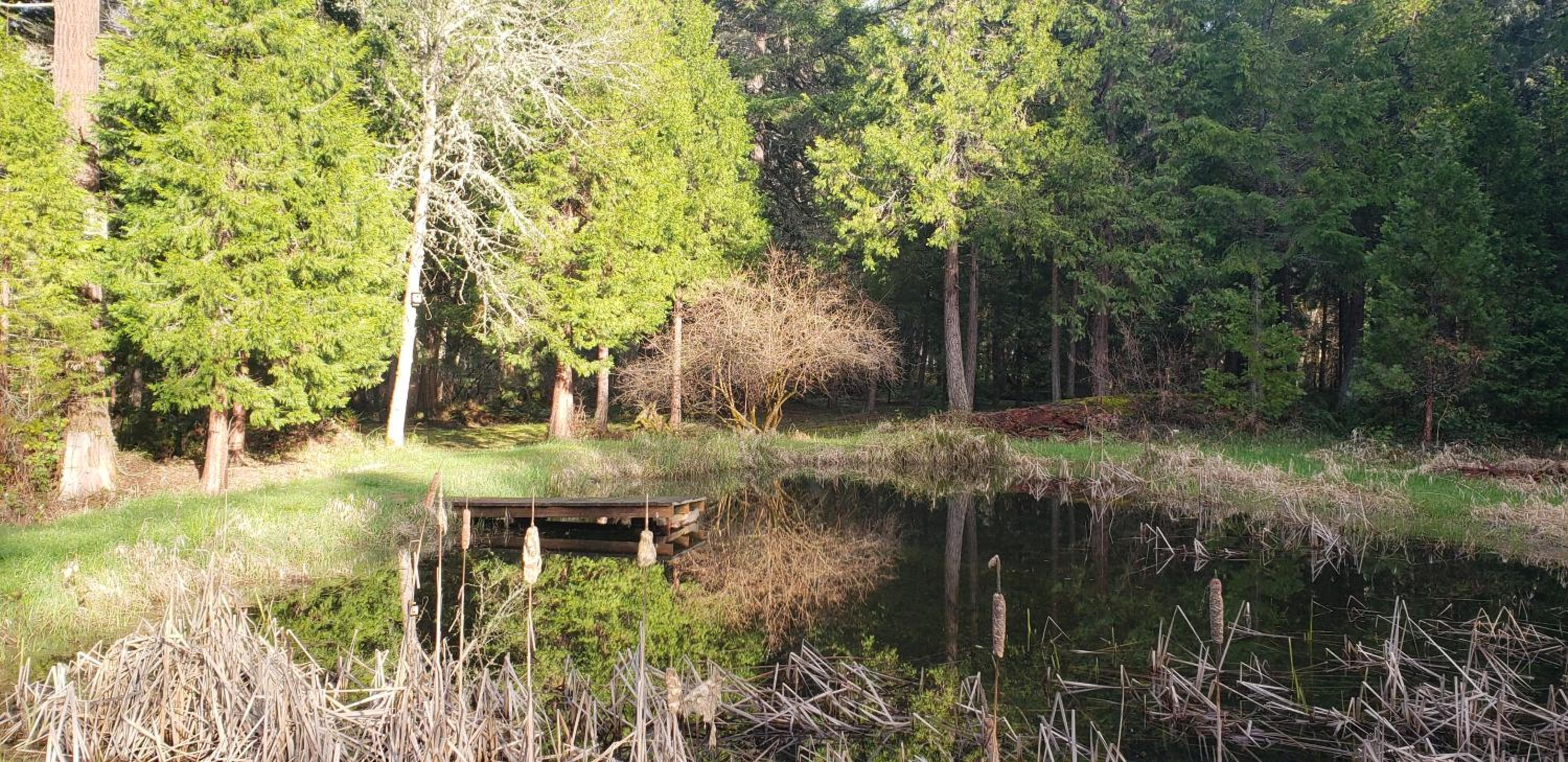 Blissful Solitude Cottage