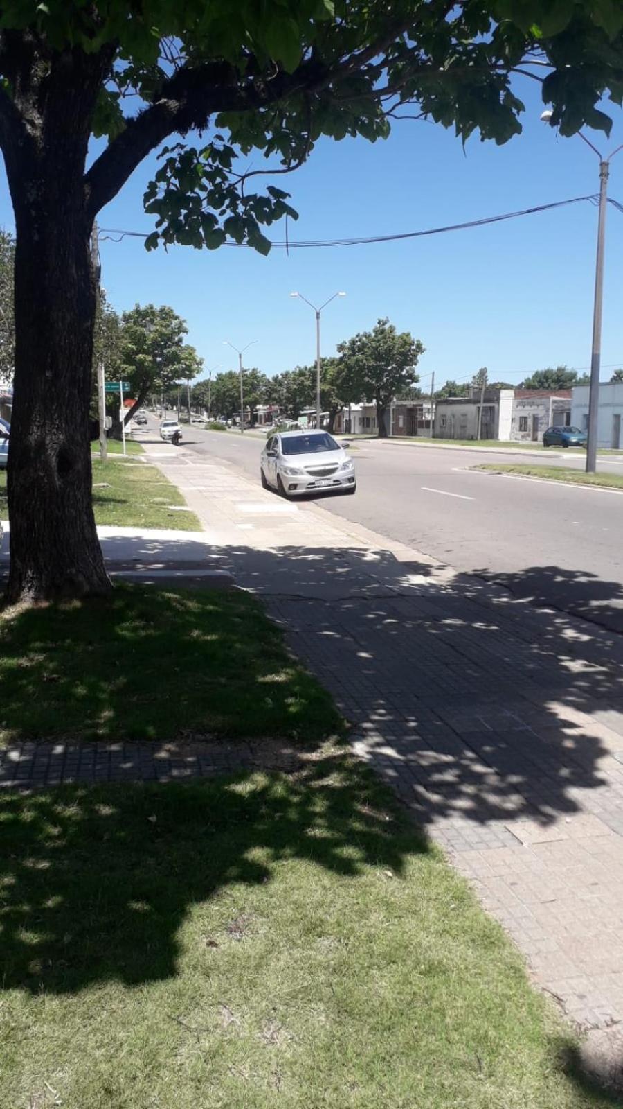 piesa poronga sc