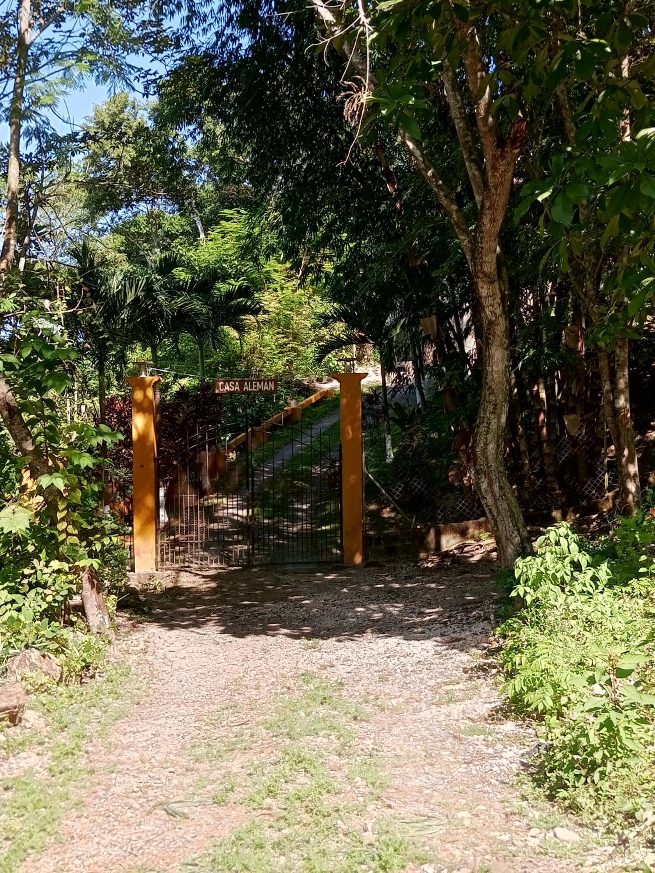 Photo 18