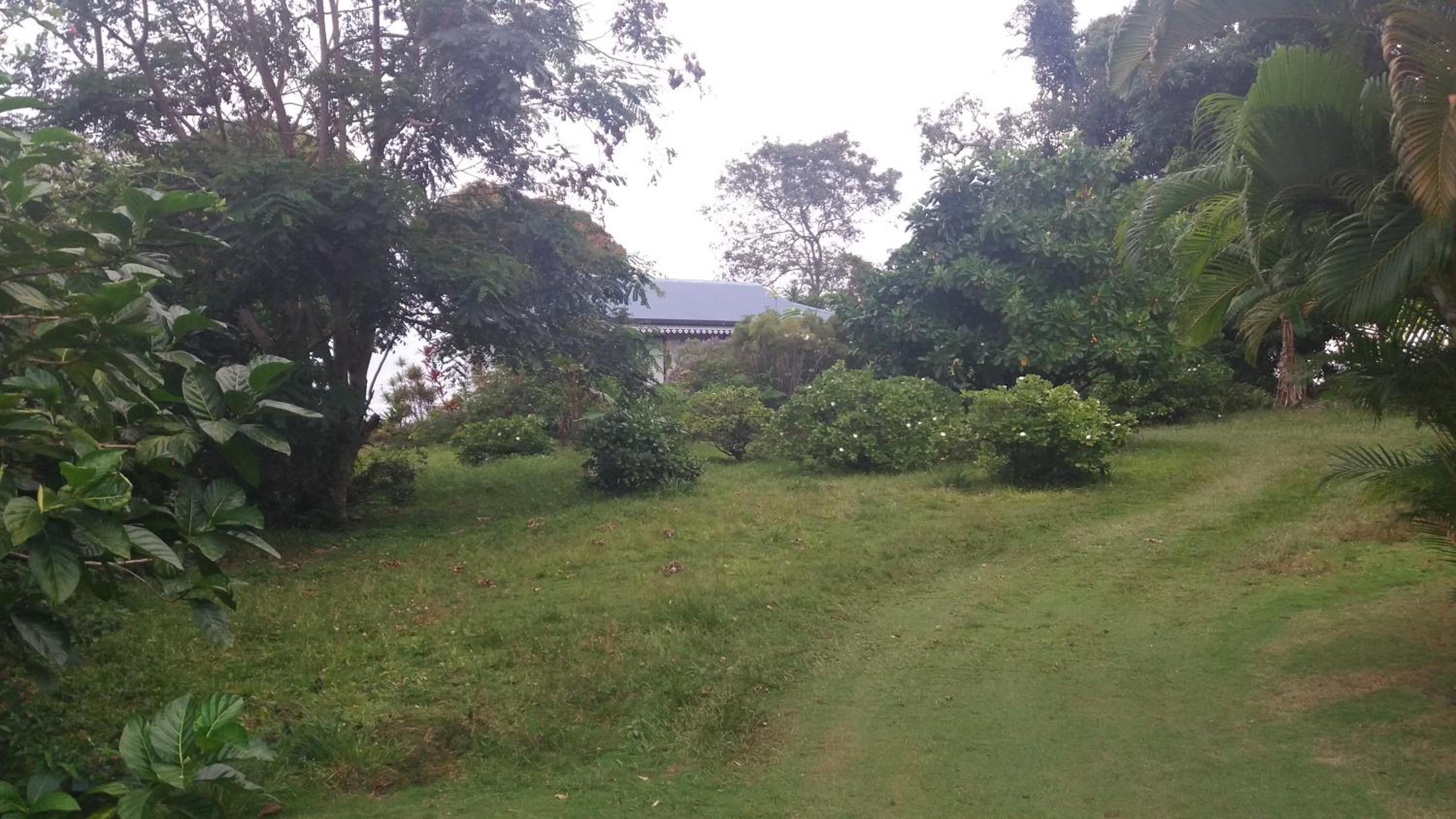 NoKo home
