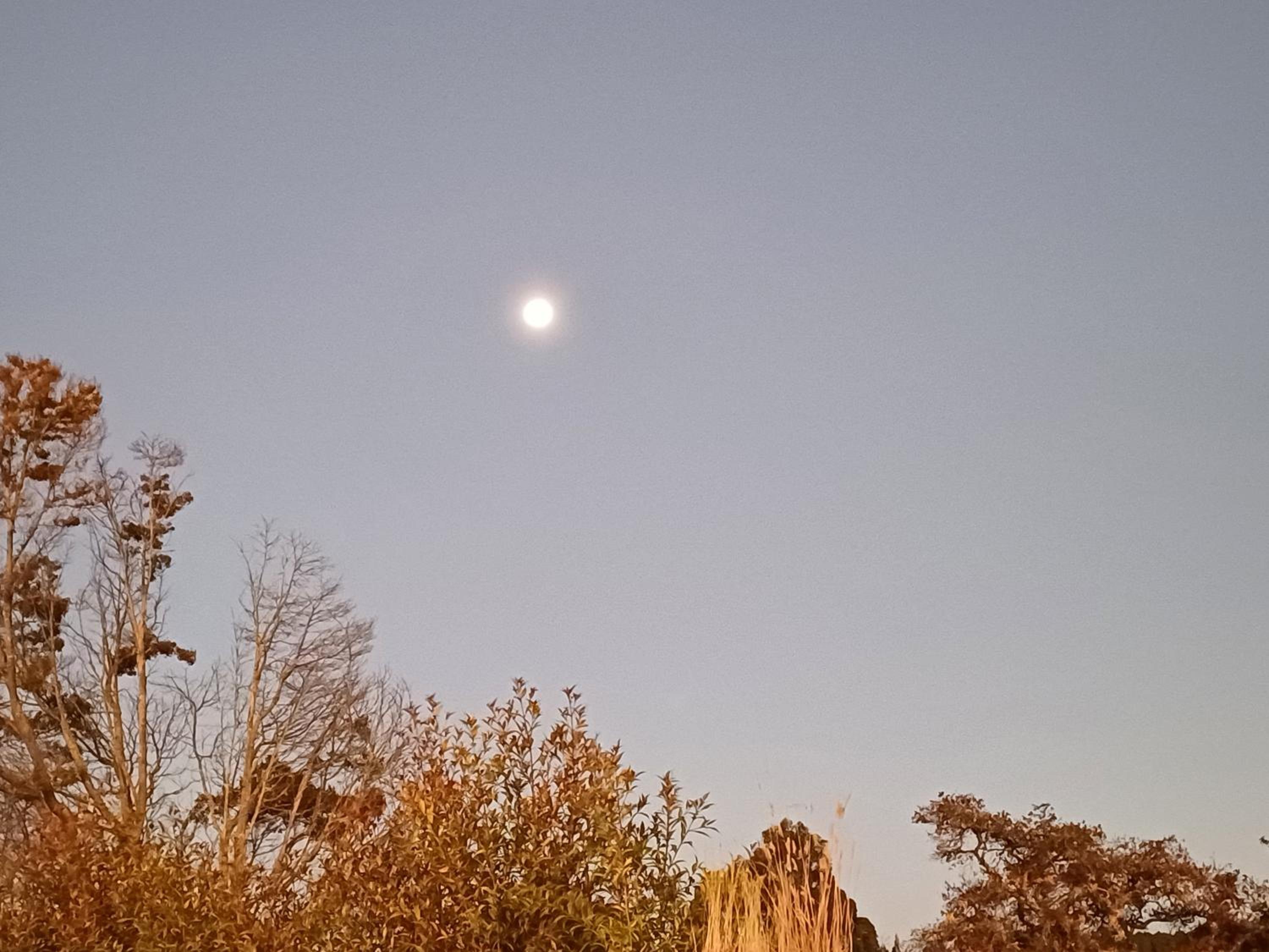 Cabañas rurales Mano de Oso Guasca
