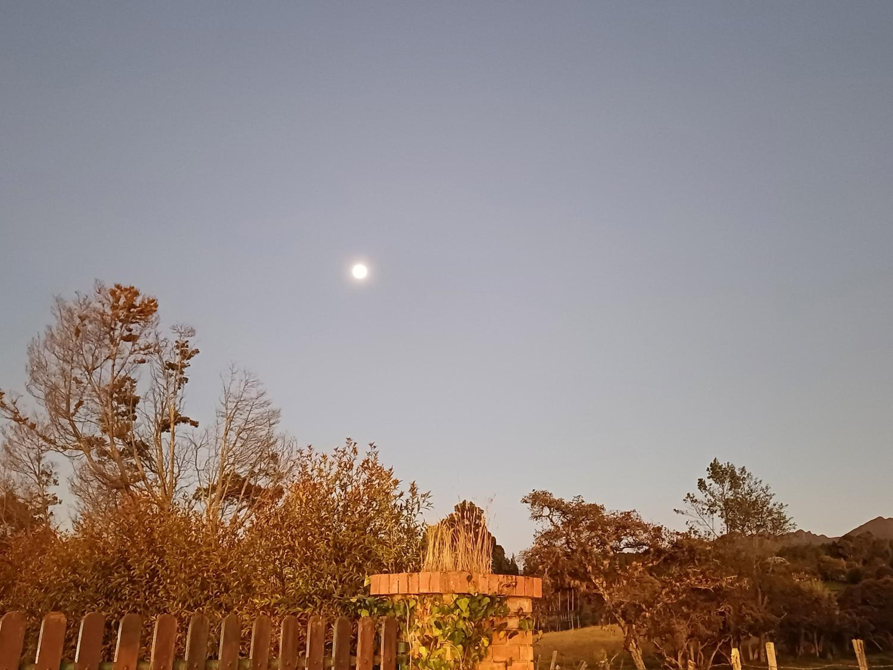 Cabañas rurales Mano de Oso Guasca
