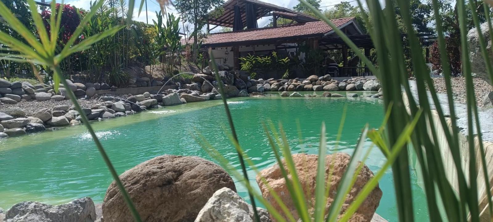 Hotel oBeja negra Muki