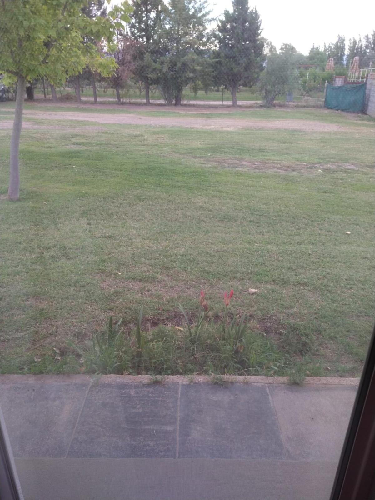 Complejo El Hornero