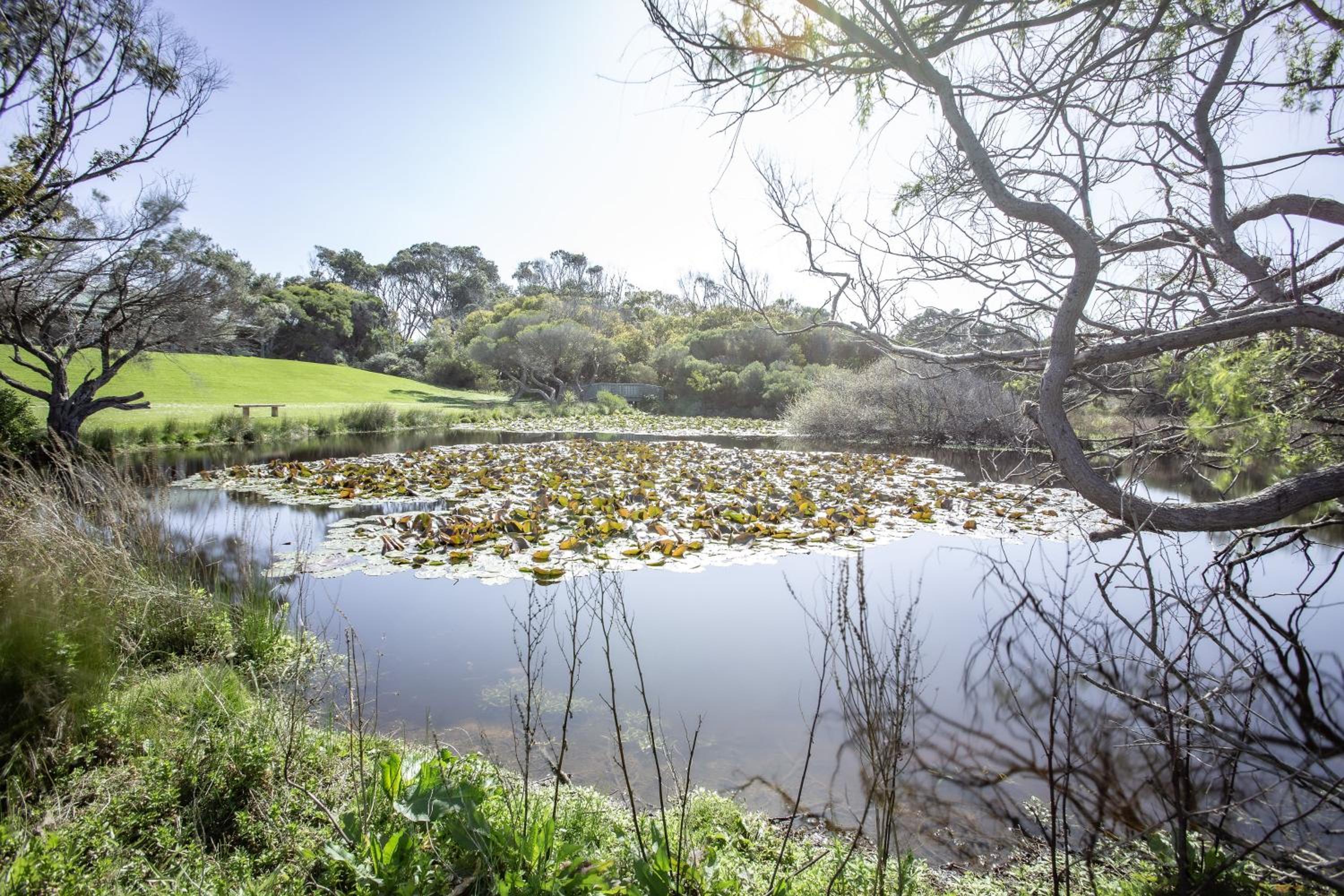 Apollo Bay Cottages- Sugarloaf