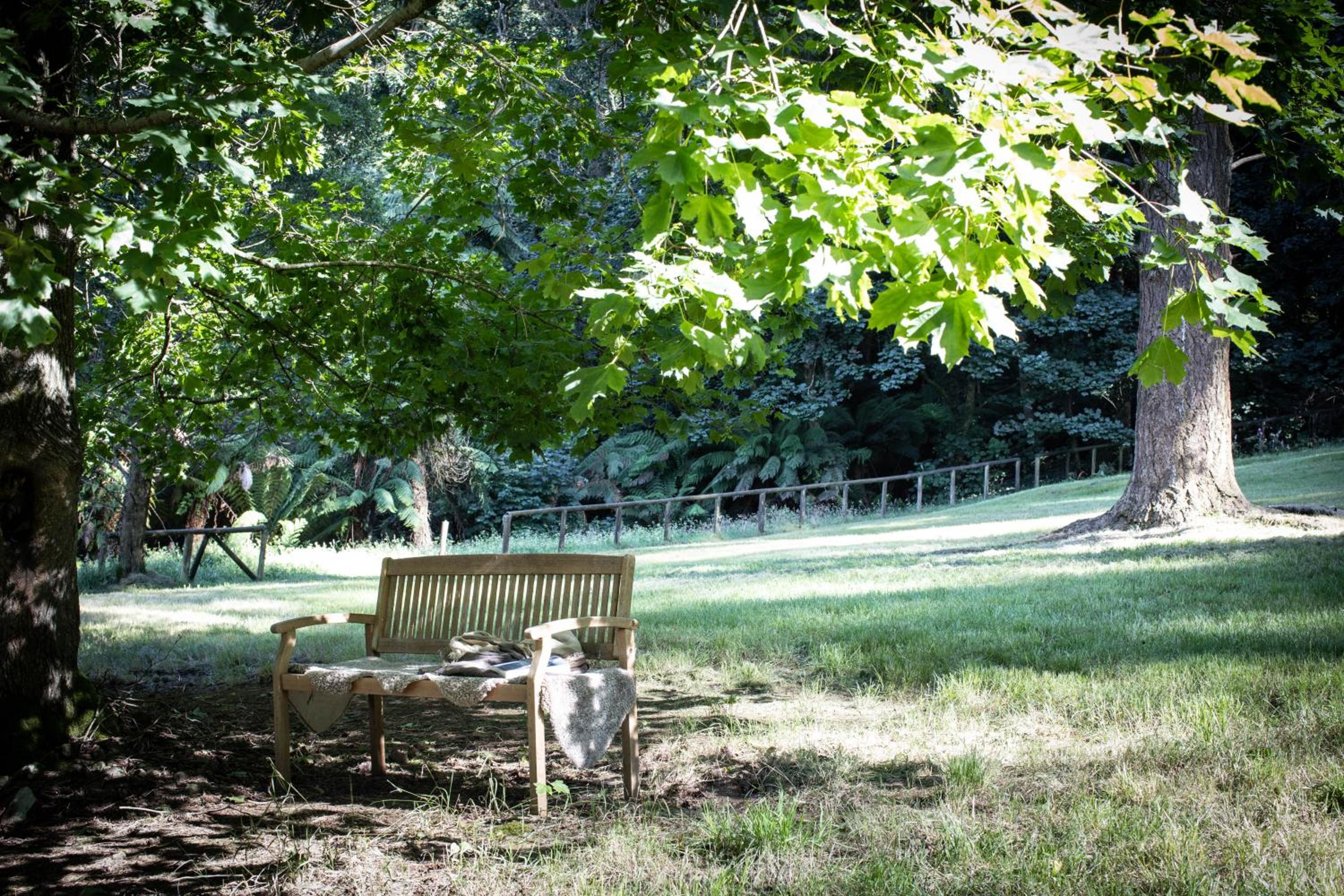 Dingleigh of Sassafras